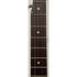 Ozark 5 String Closed Back Banjo in Sunburst Pre-Owned