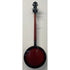 Ozark 5 String Closed Back Banjo in Sunburst Pre-Owned