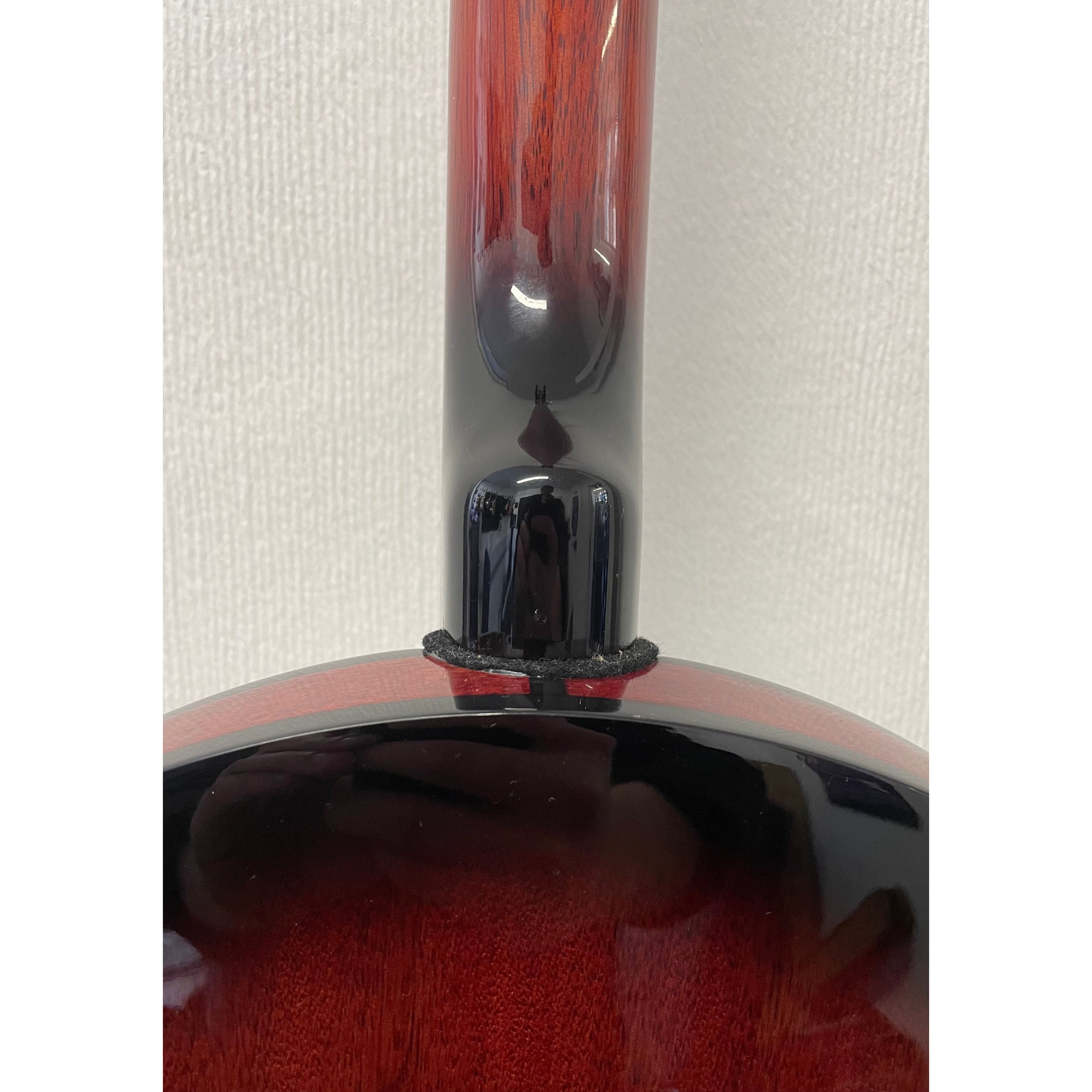 Ozark 5 String Closed Back Banjo in Sunburst Pre-Owned