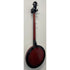 Ozark 5 String Closed Back Banjo in Sunburst Pre-Owned