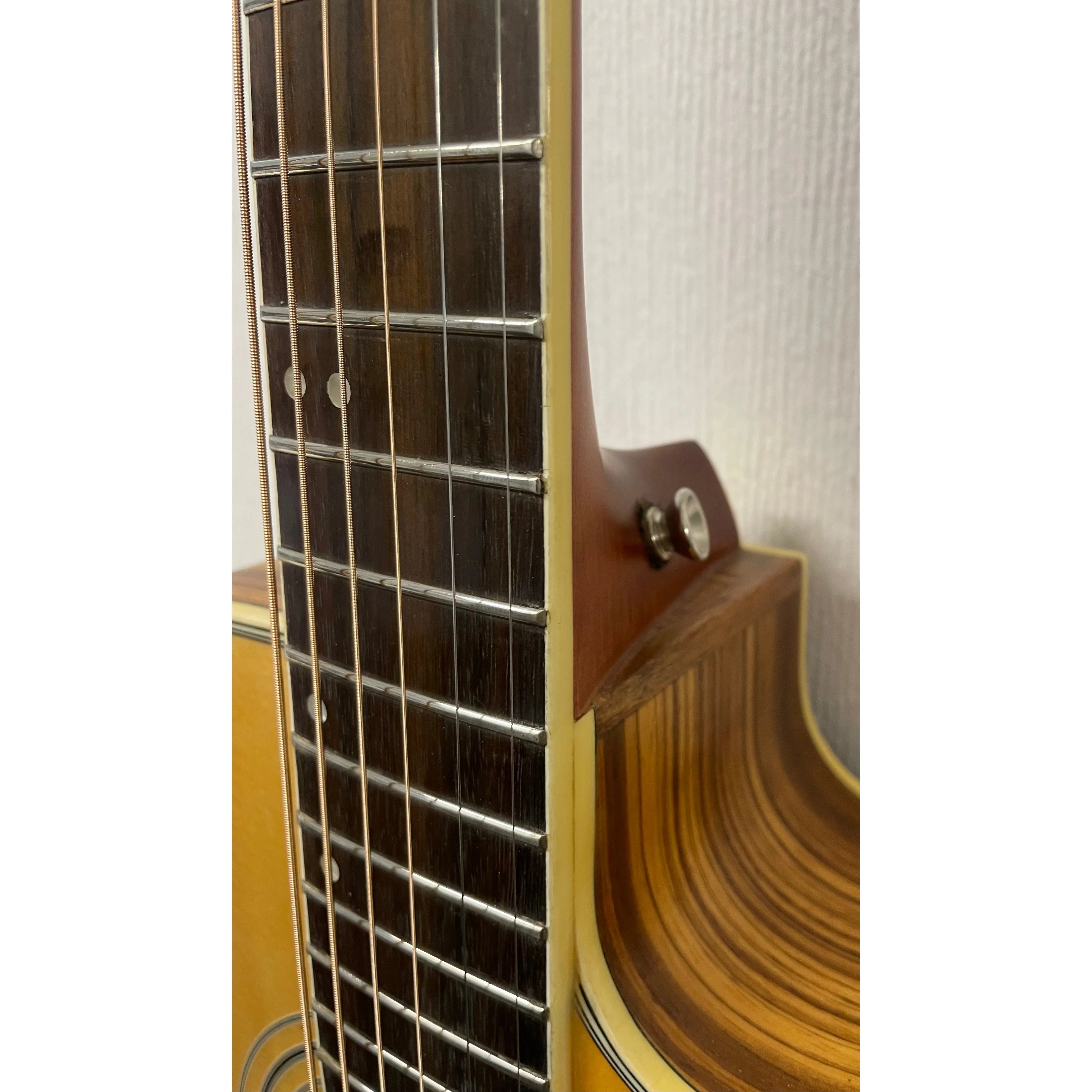 Turner Dreadnought 40CE Electro Acoustic Guitar