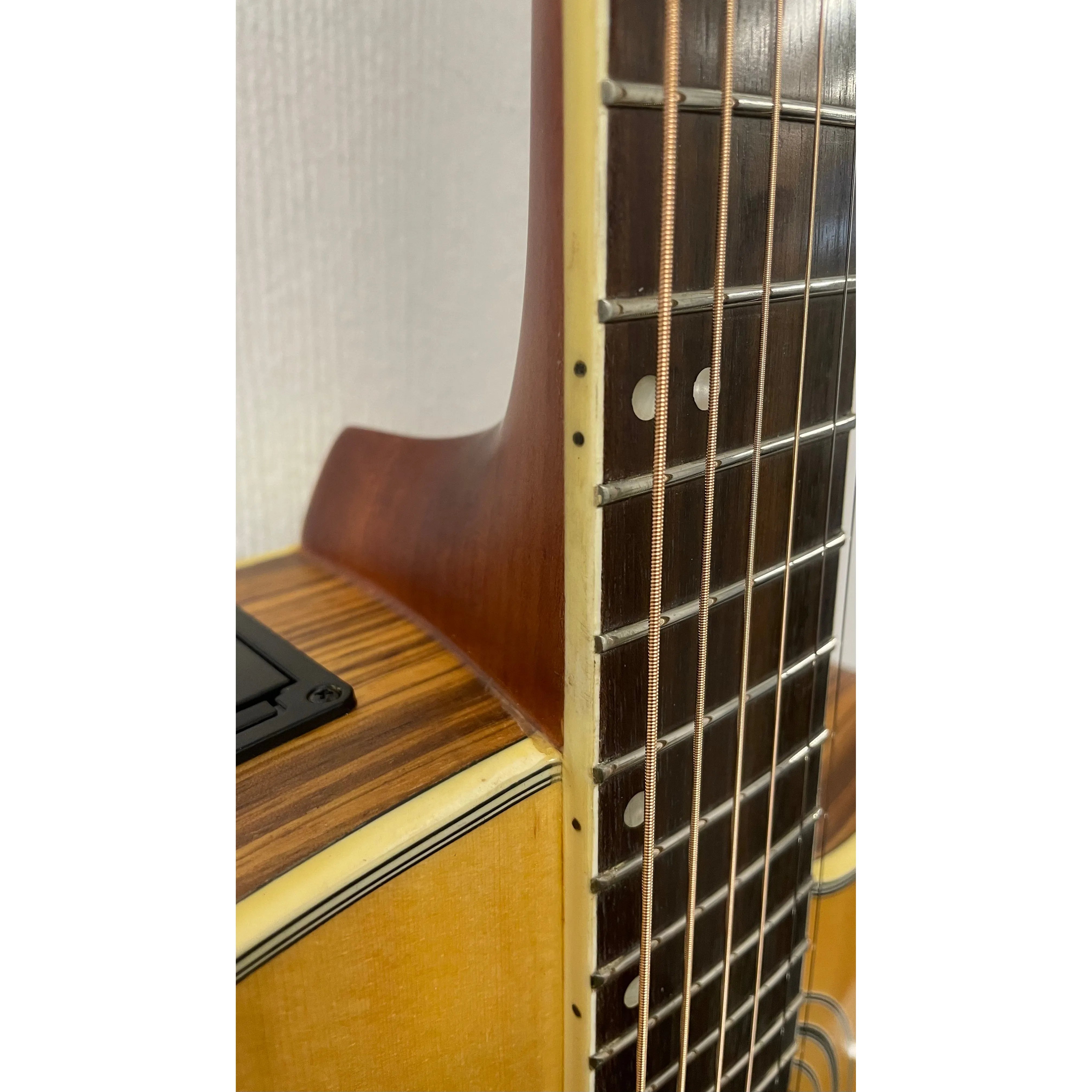 Turner Dreadnought 40CE Electro Acoustic Guitar