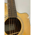 Turner Dreadnought 40CE Electro Acoustic Guitar