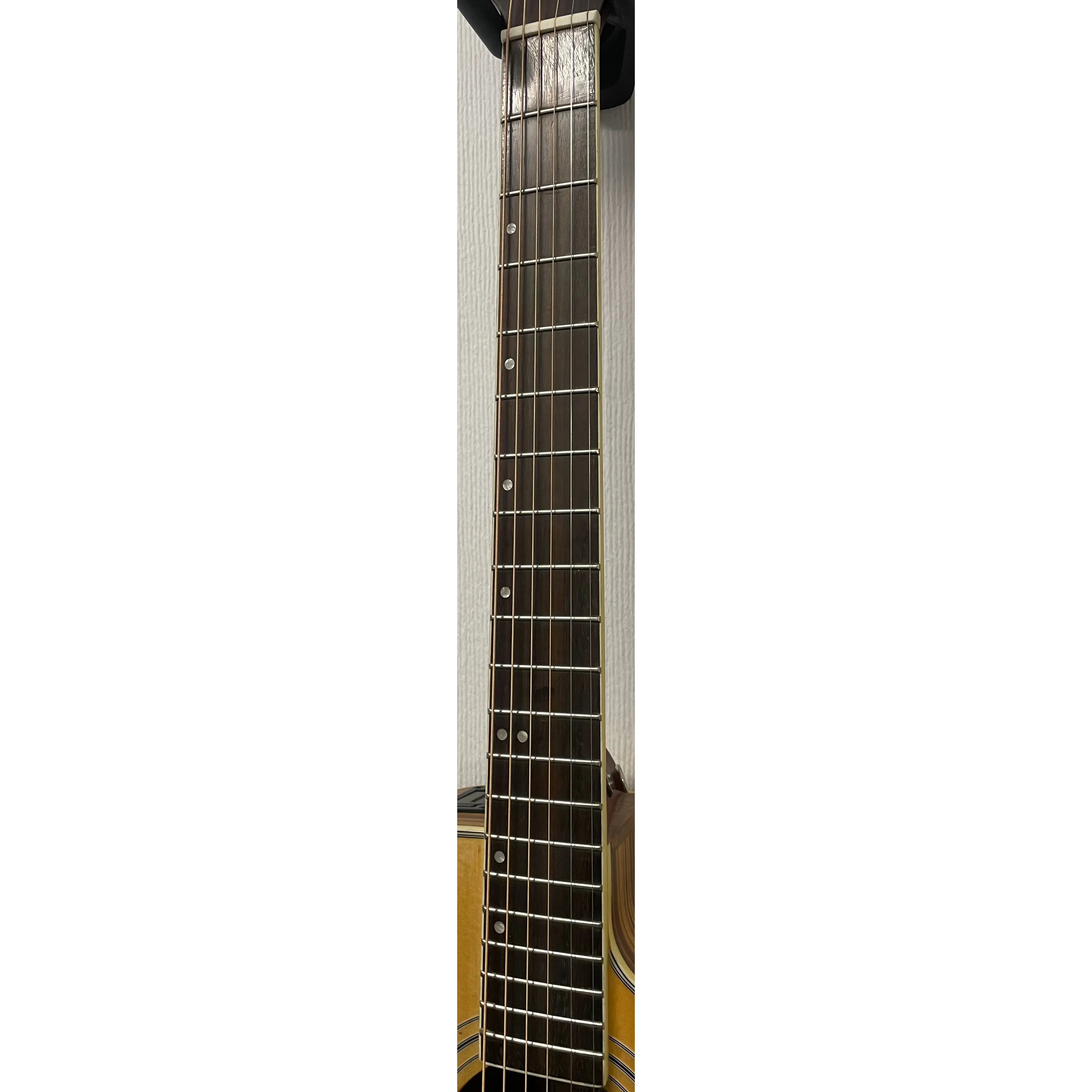 Turner Dreadnought 40CE Electro Acoustic Guitar