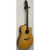 Turner Dreadnought 40CE Electro Acoustic Guitar