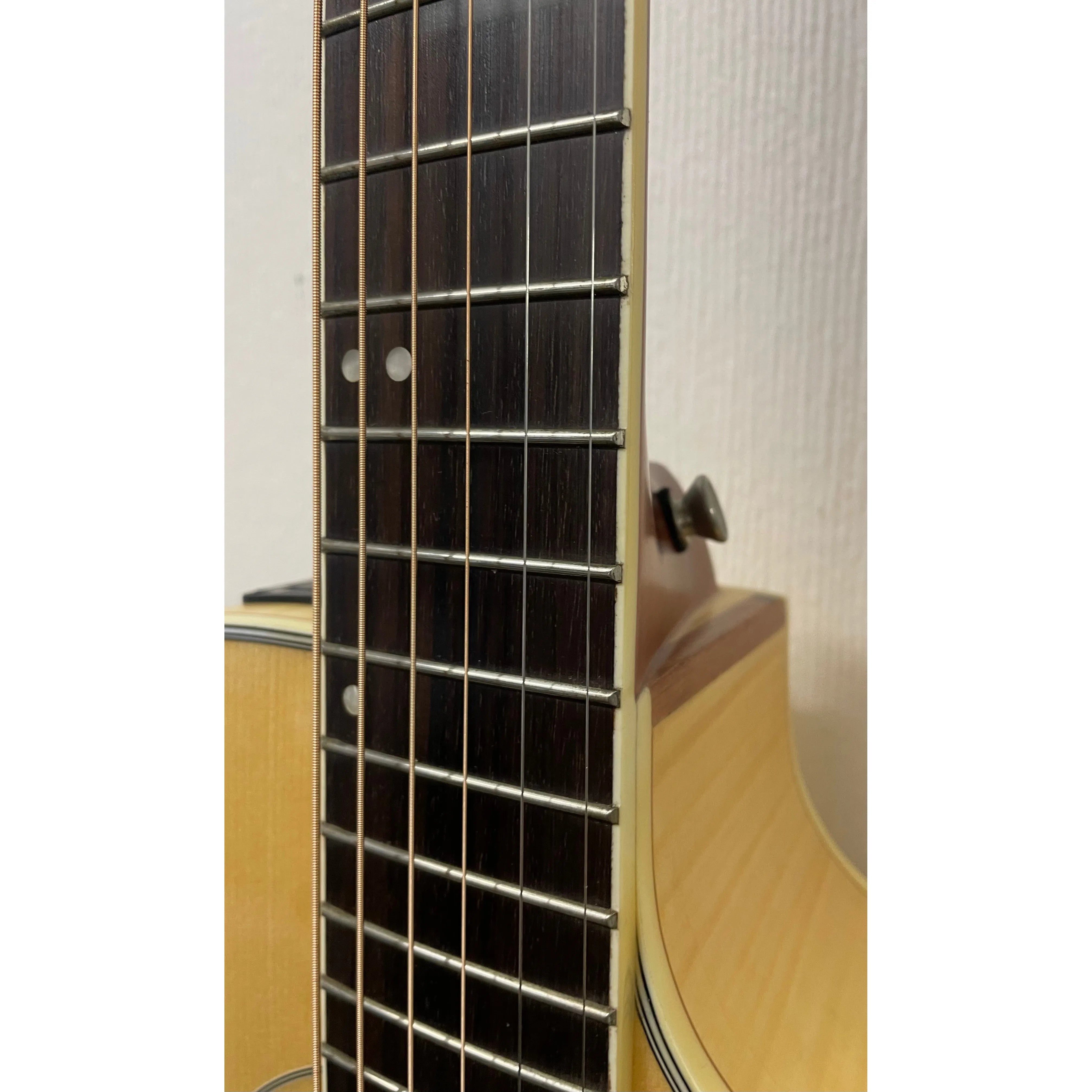 Turner Grand Concert 62CE Electro Acoustic Guitar