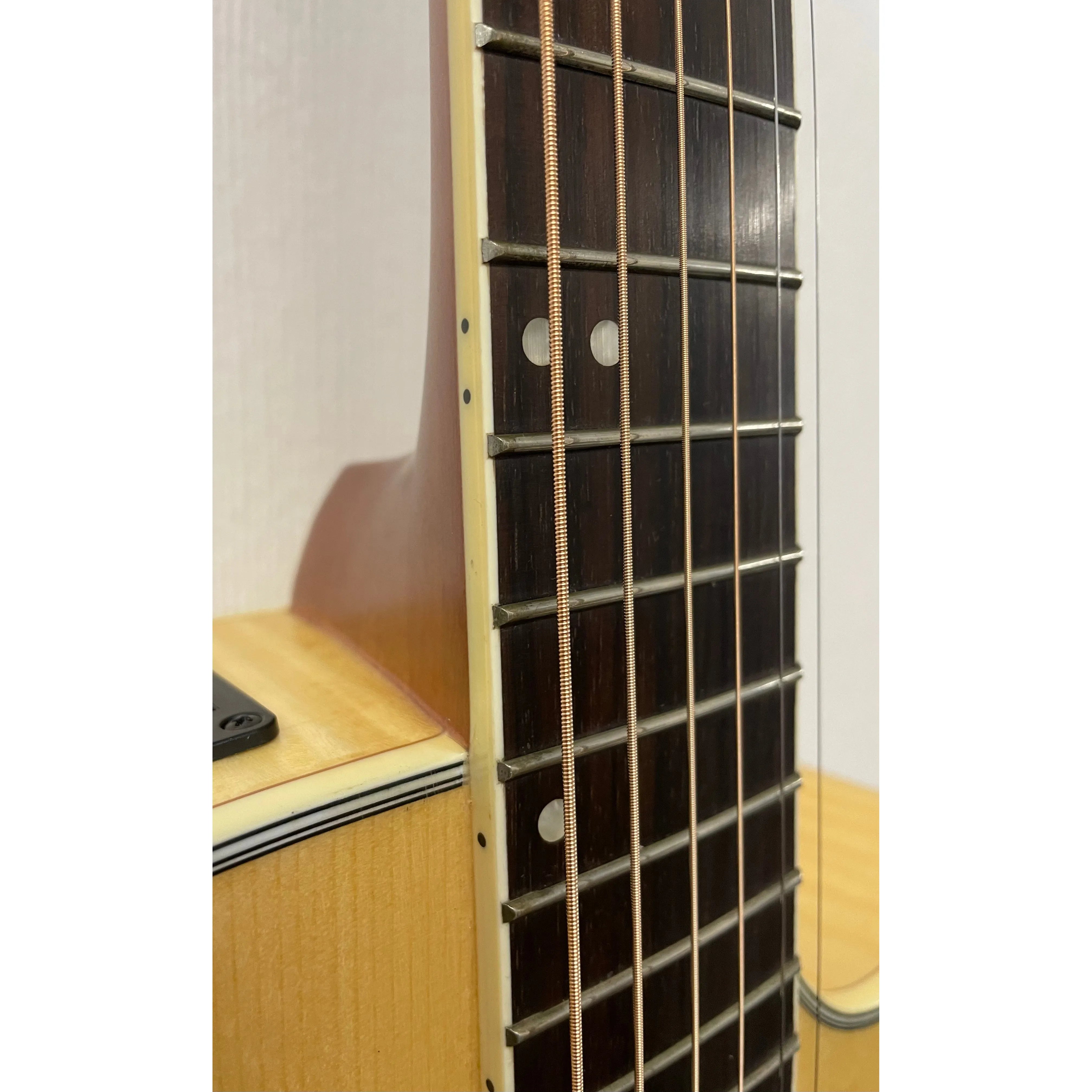 Turner Grand Concert 62CE Electro Acoustic Guitar