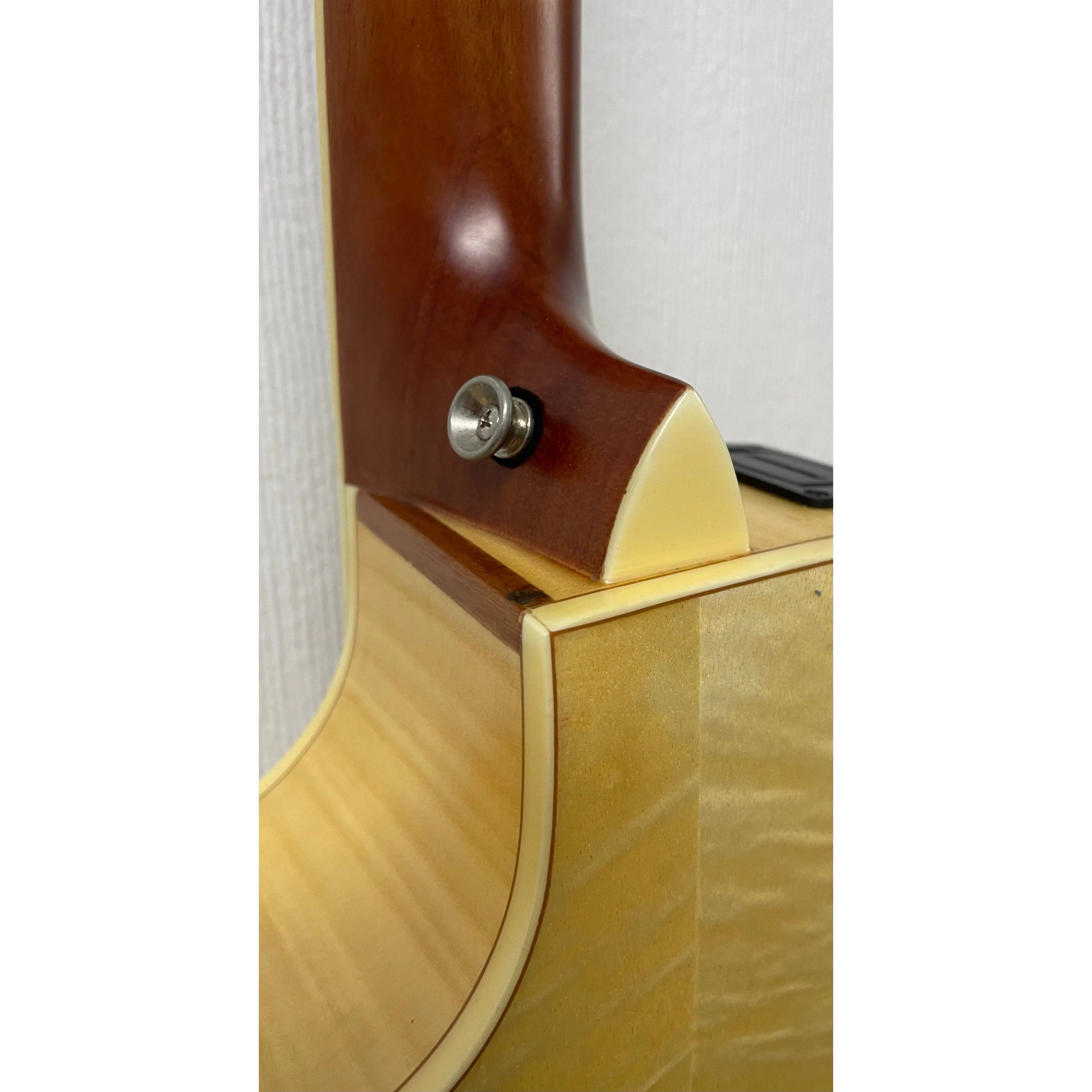 Turner Grand Concert 62CE Electro Acoustic Guitar