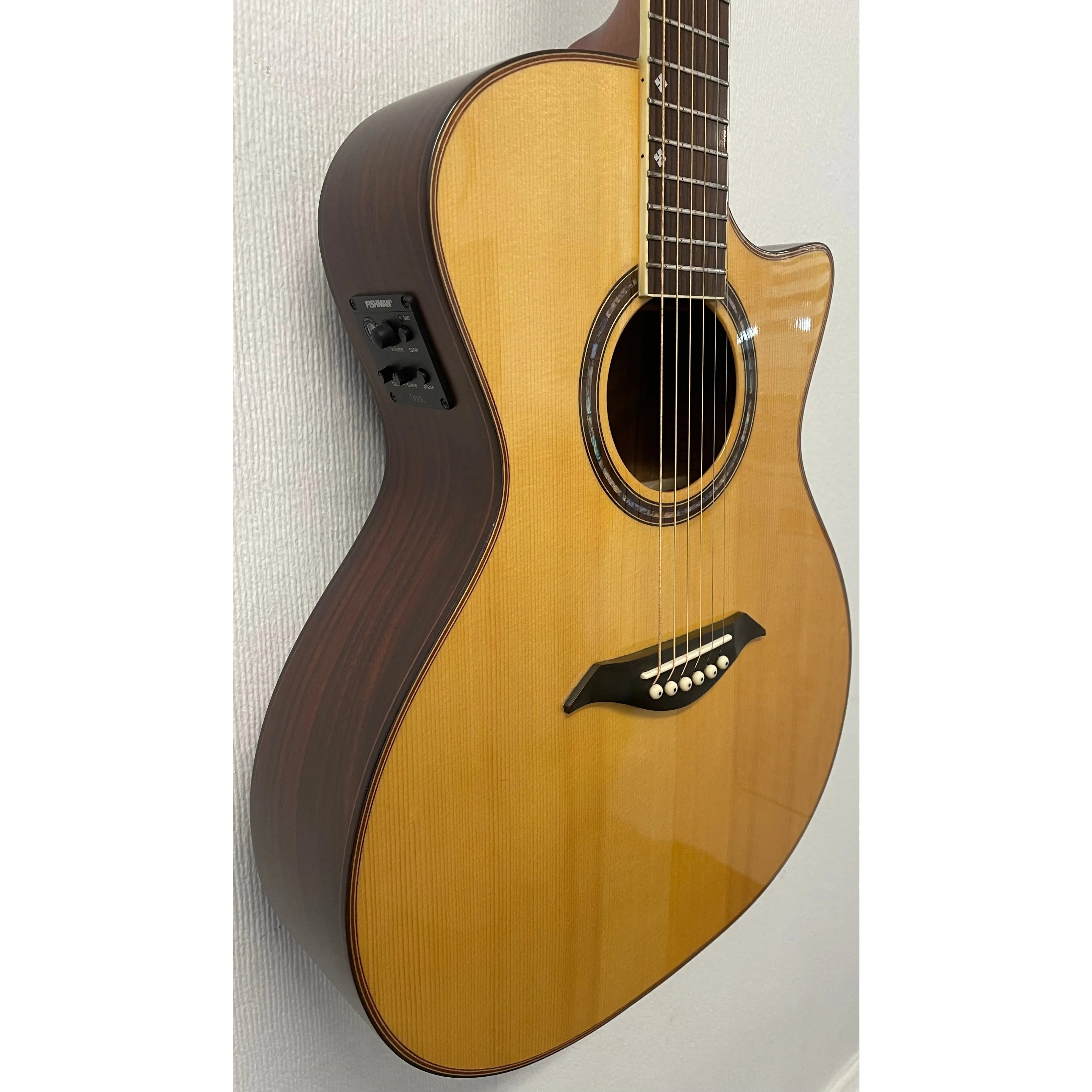 Turner Grand Concert 72CE Electro Acoustic Guitar