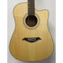 Turner Dreadnought 60CE Electro Acoustic Guitar