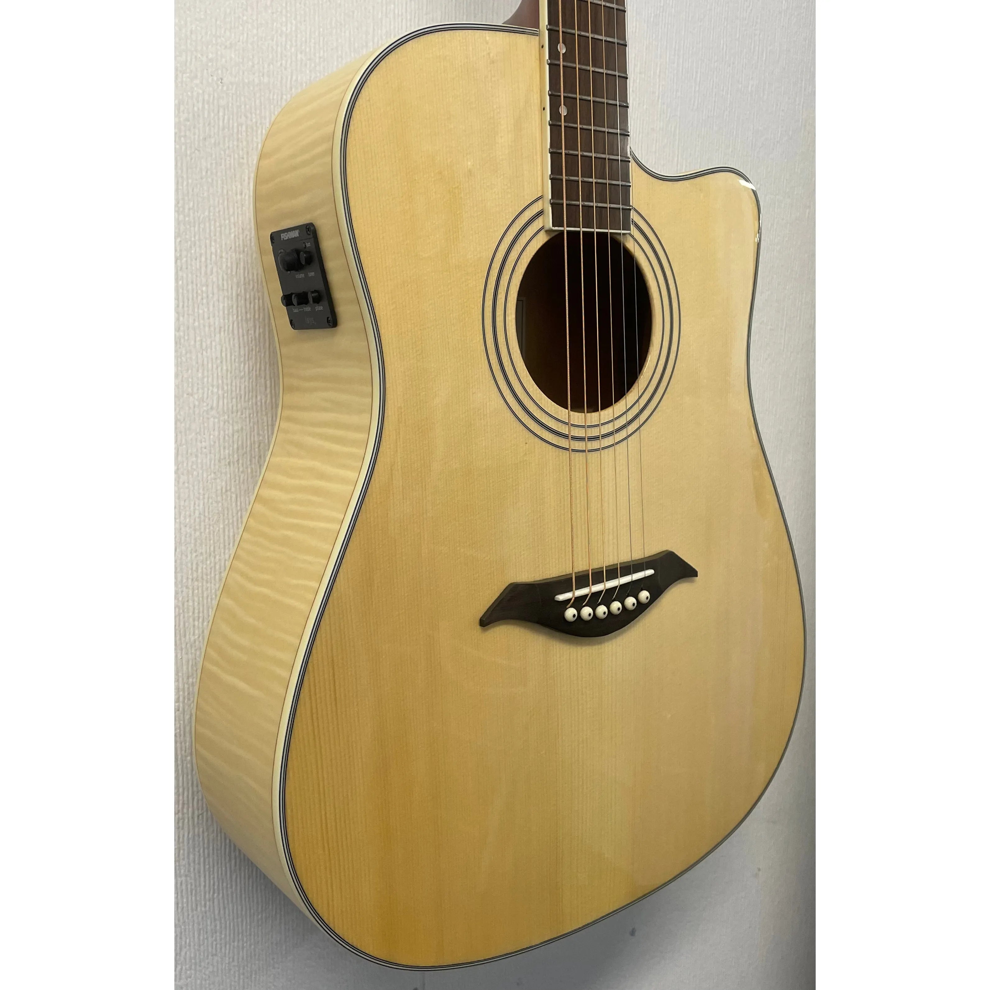 Turner Dreadnought 60CE Electro Acoustic Guitar