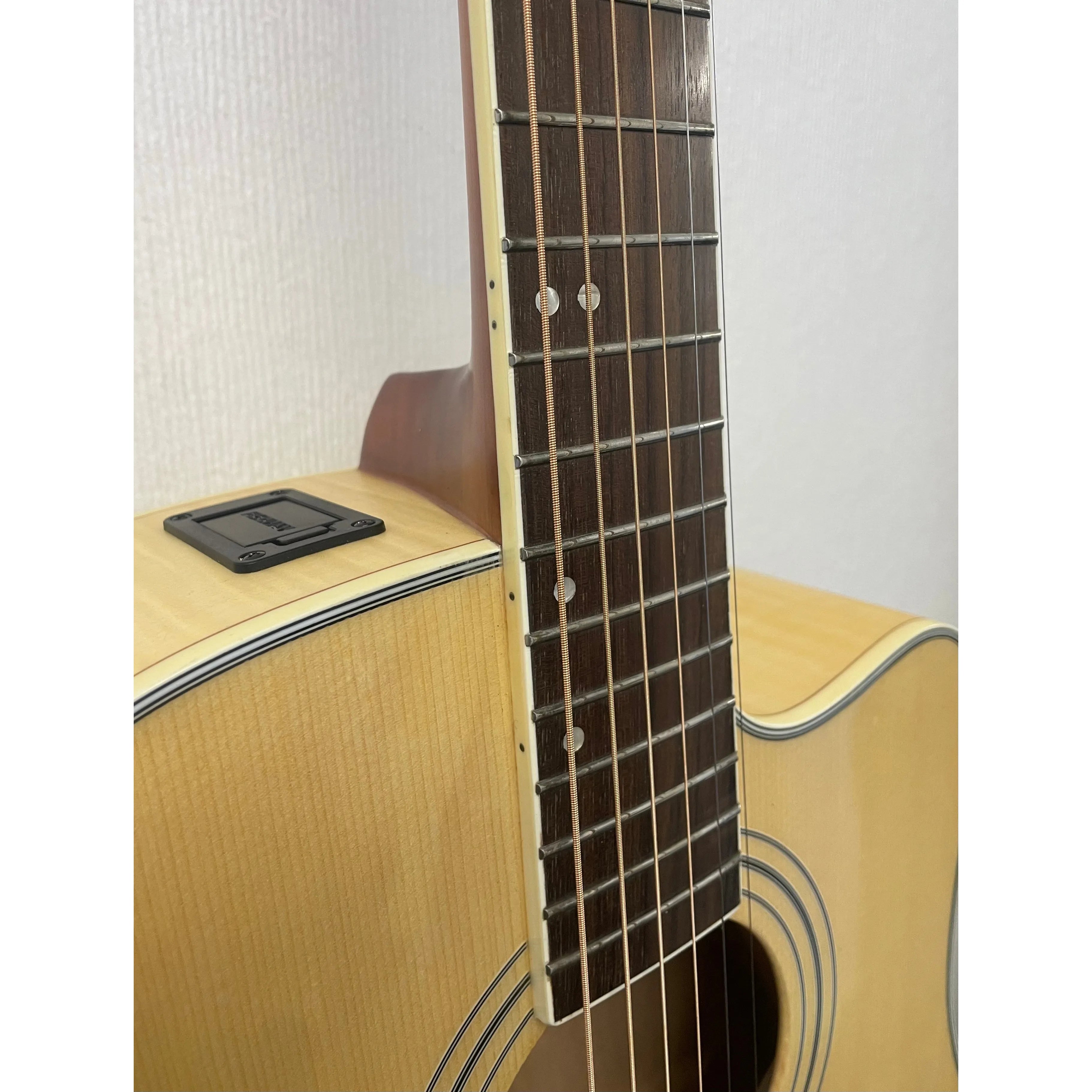 Turner Dreadnought 60CE Electro Acoustic Guitar