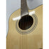 Turner Dreadnought 60CE Electro Acoustic Guitar