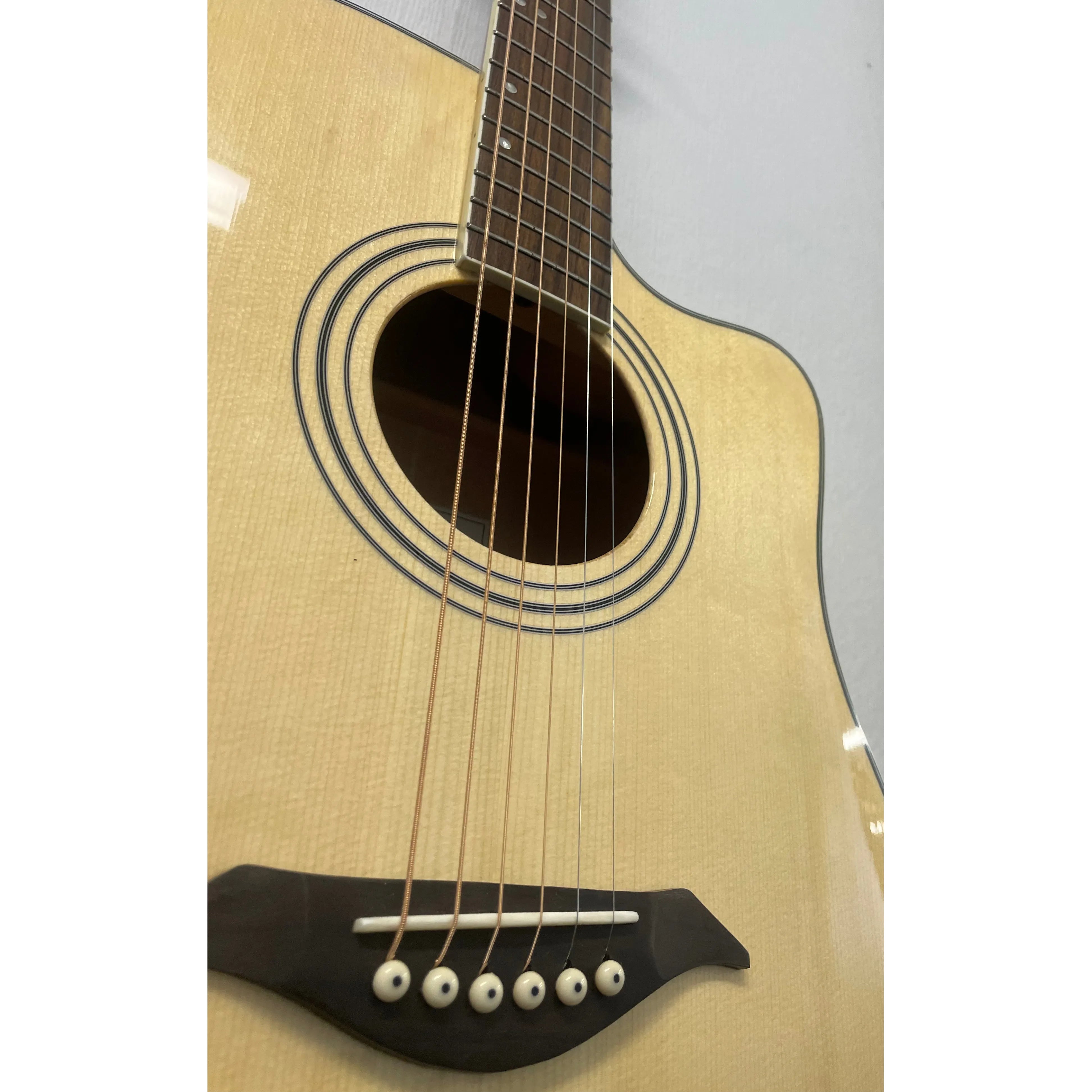 Turner Dreadnought 60CE Electro Acoustic Guitar