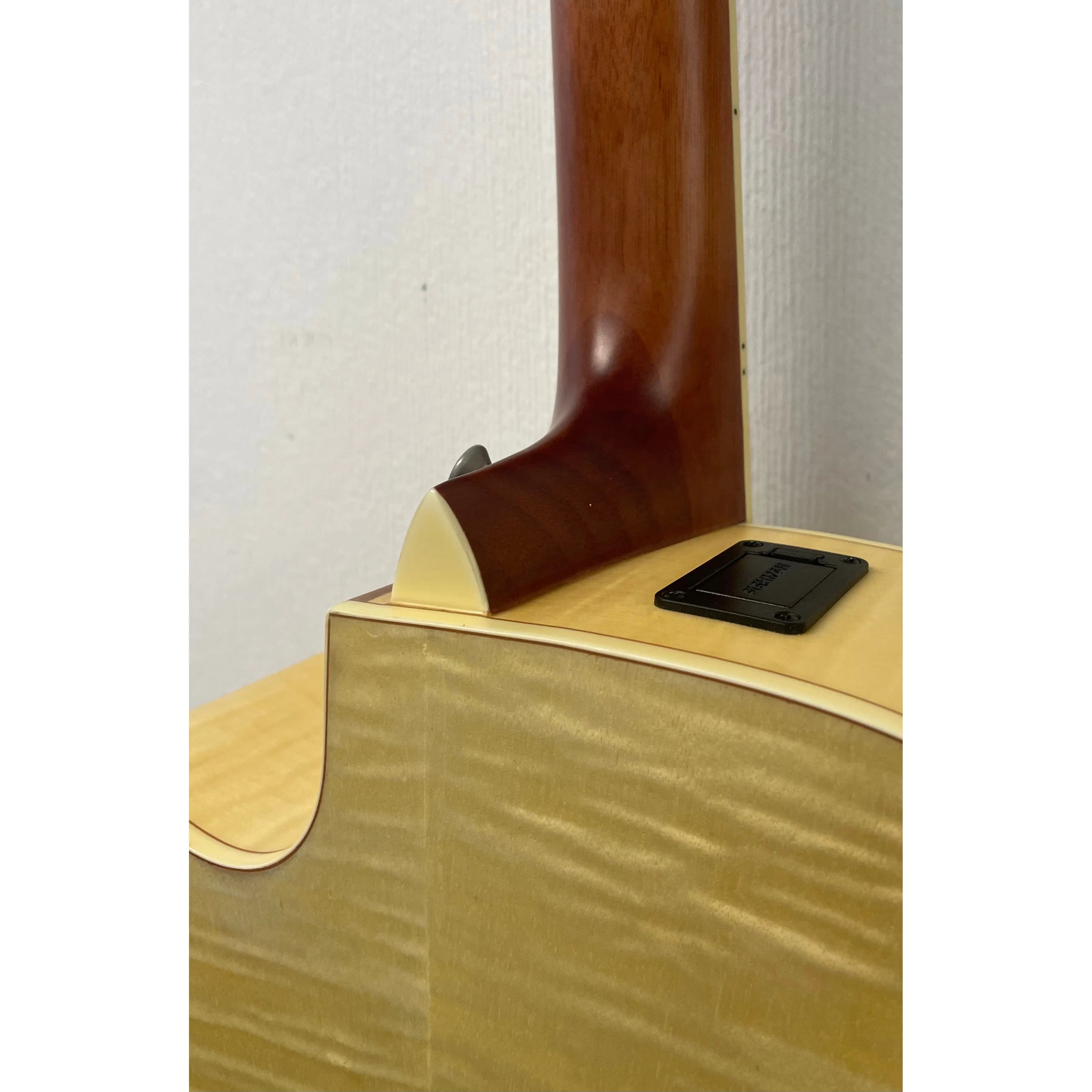 Turner Dreadnought 60CE Electro Acoustic Guitar