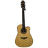 Turner Dreadnought 80CE Electro Acoustic Guitar