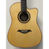 Turner Dreadnought 80CE Electro Acoustic Guitar