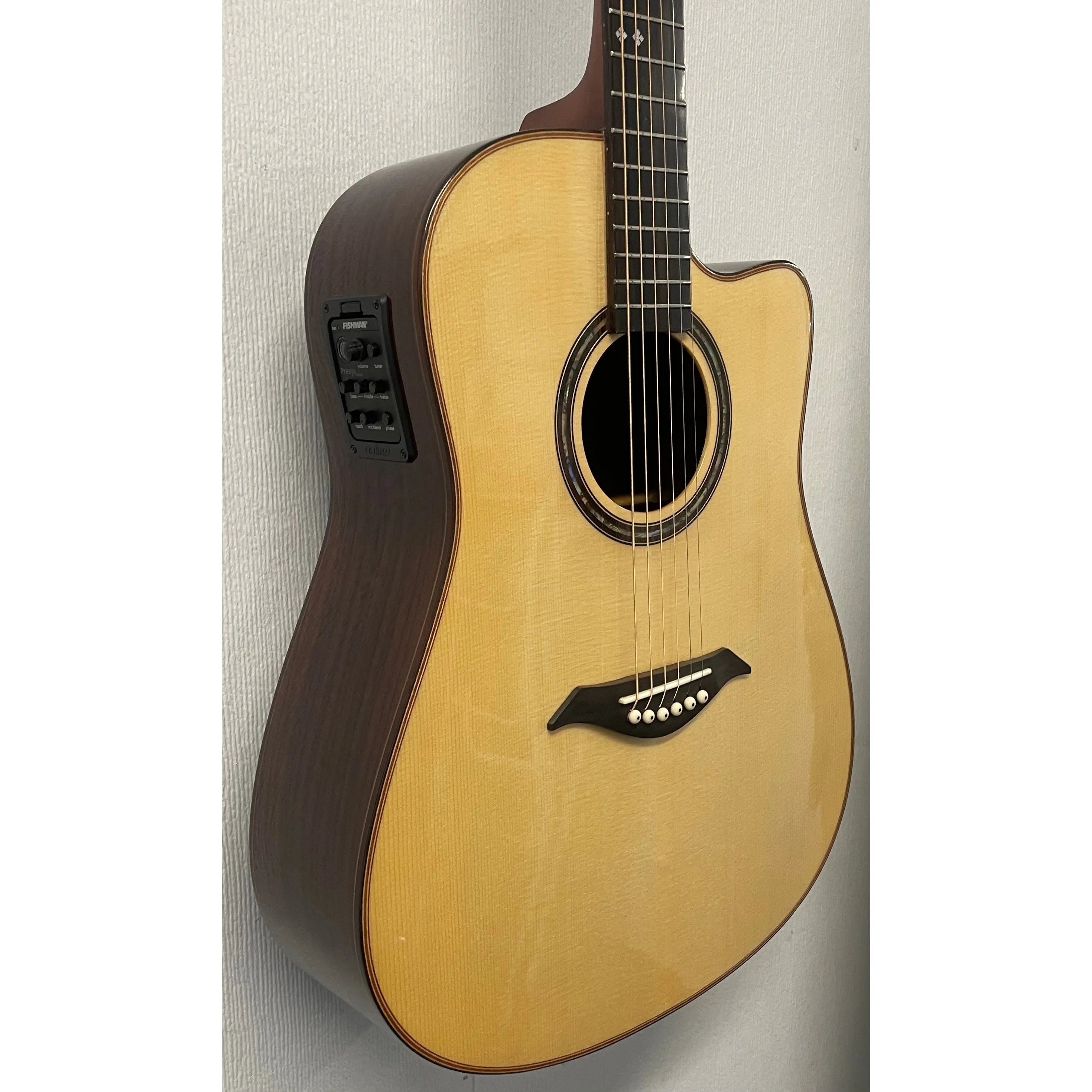 Turner Dreadnought 80CE Electro Acoustic Guitar