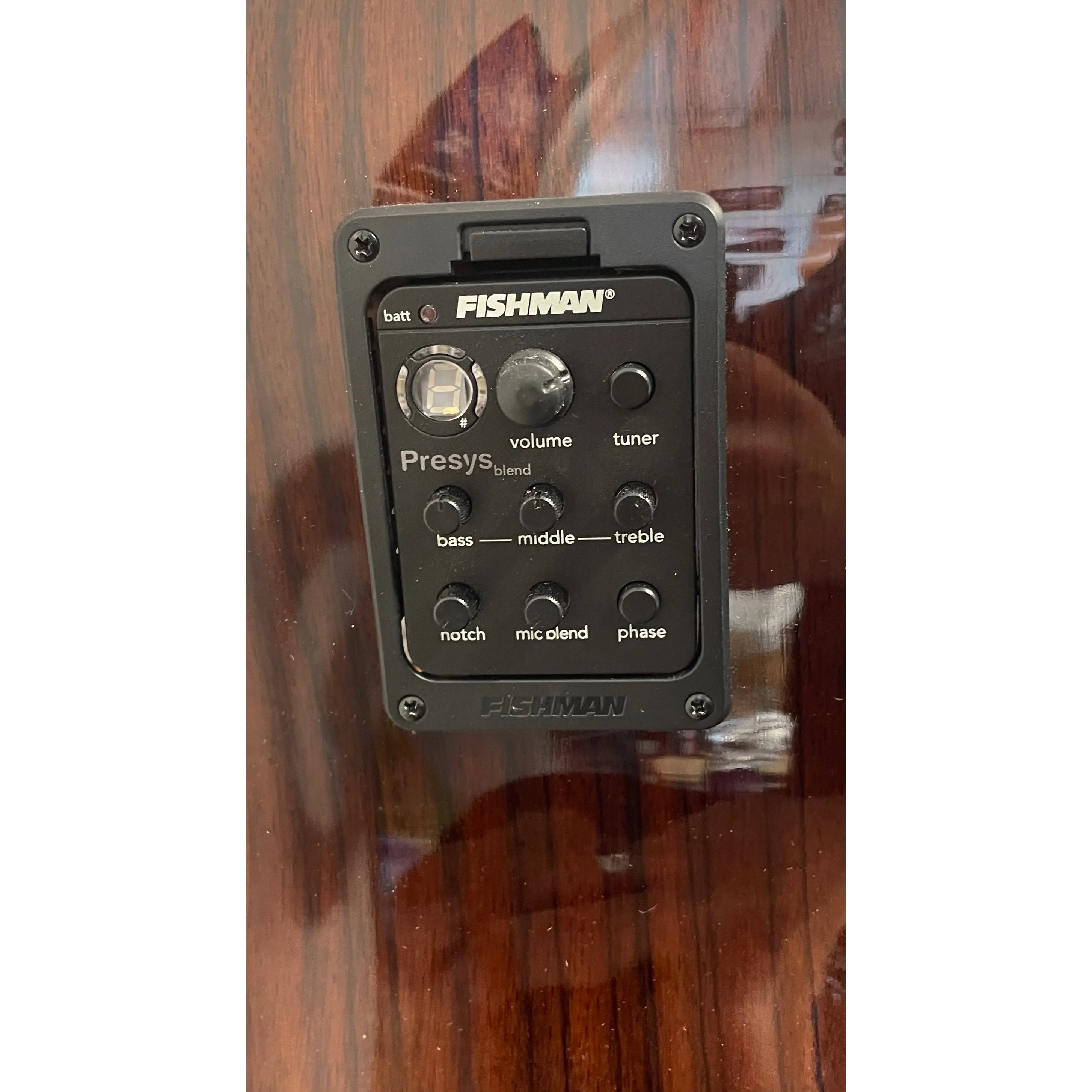 Turner Dreadnought 80CE Electro Acoustic Guitar