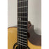 Turner Dreadnought 80CE Electro Acoustic Guitar