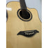 Turner Dreadnought 80CE Electro Acoustic Guitar
