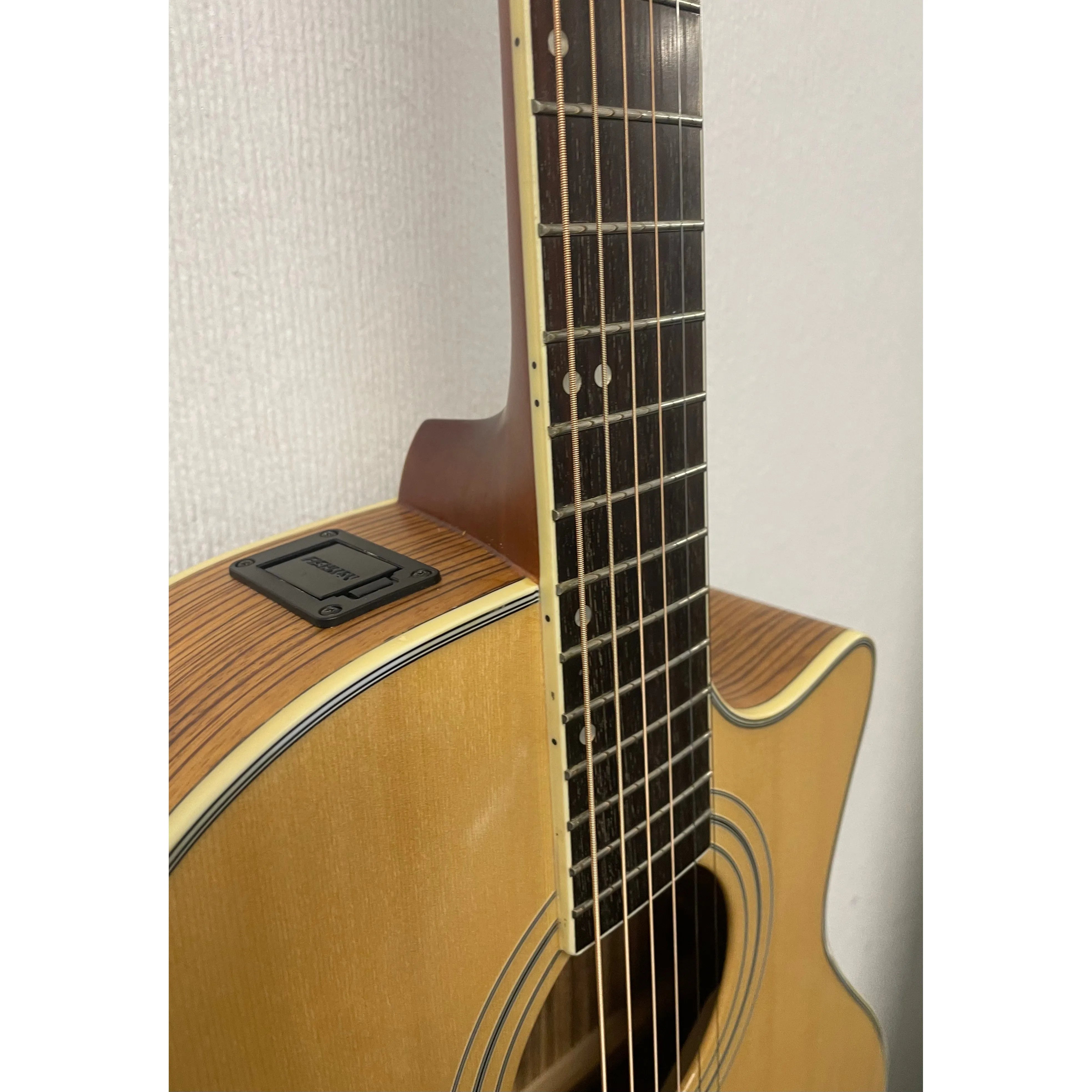 Turner Grand Concert 42CE Electro Acoustic Guitar