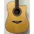 Turner Dreadnought 70CE Electro Acoustic Guitar