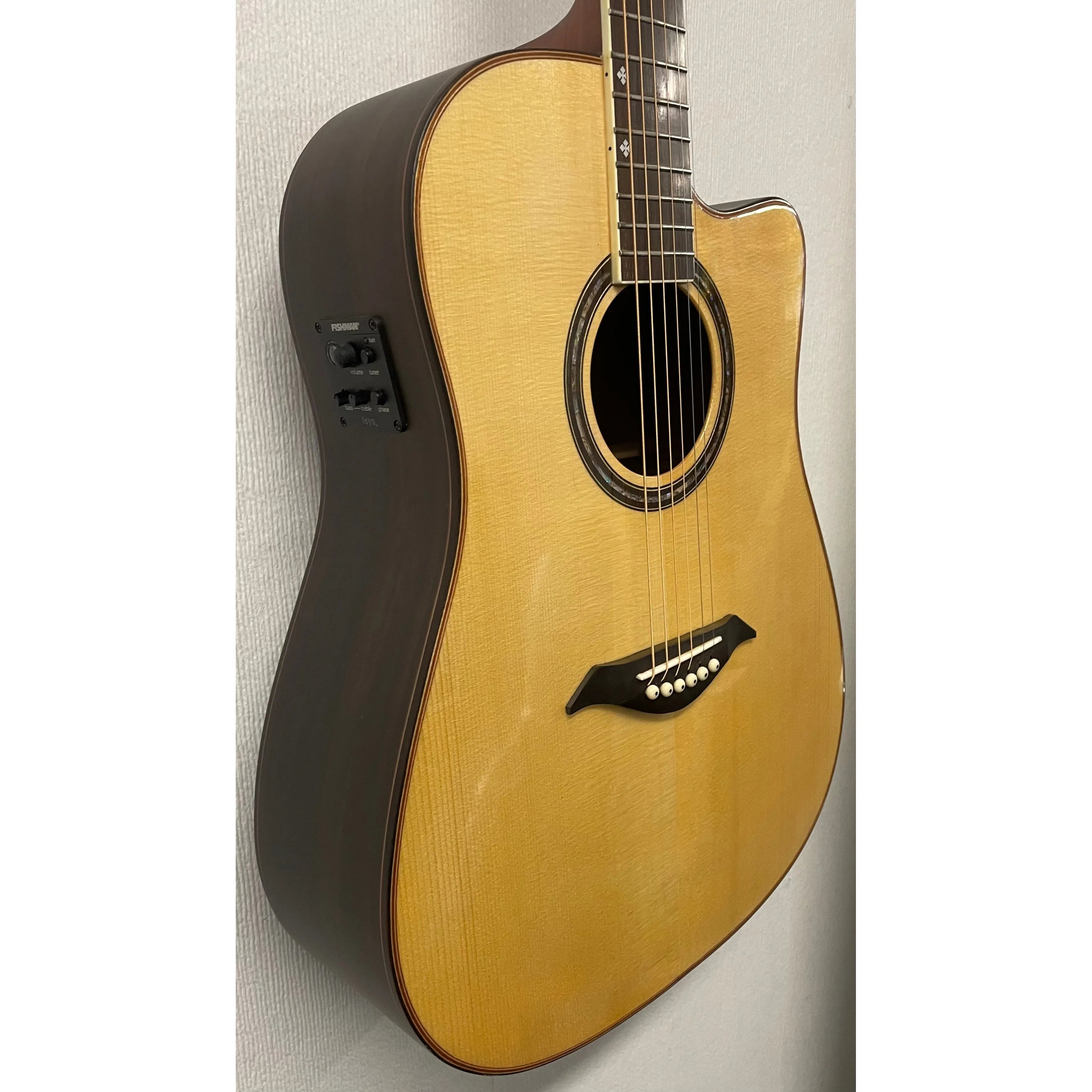 Turner Dreadnought 70CE Electro Acoustic Guitar