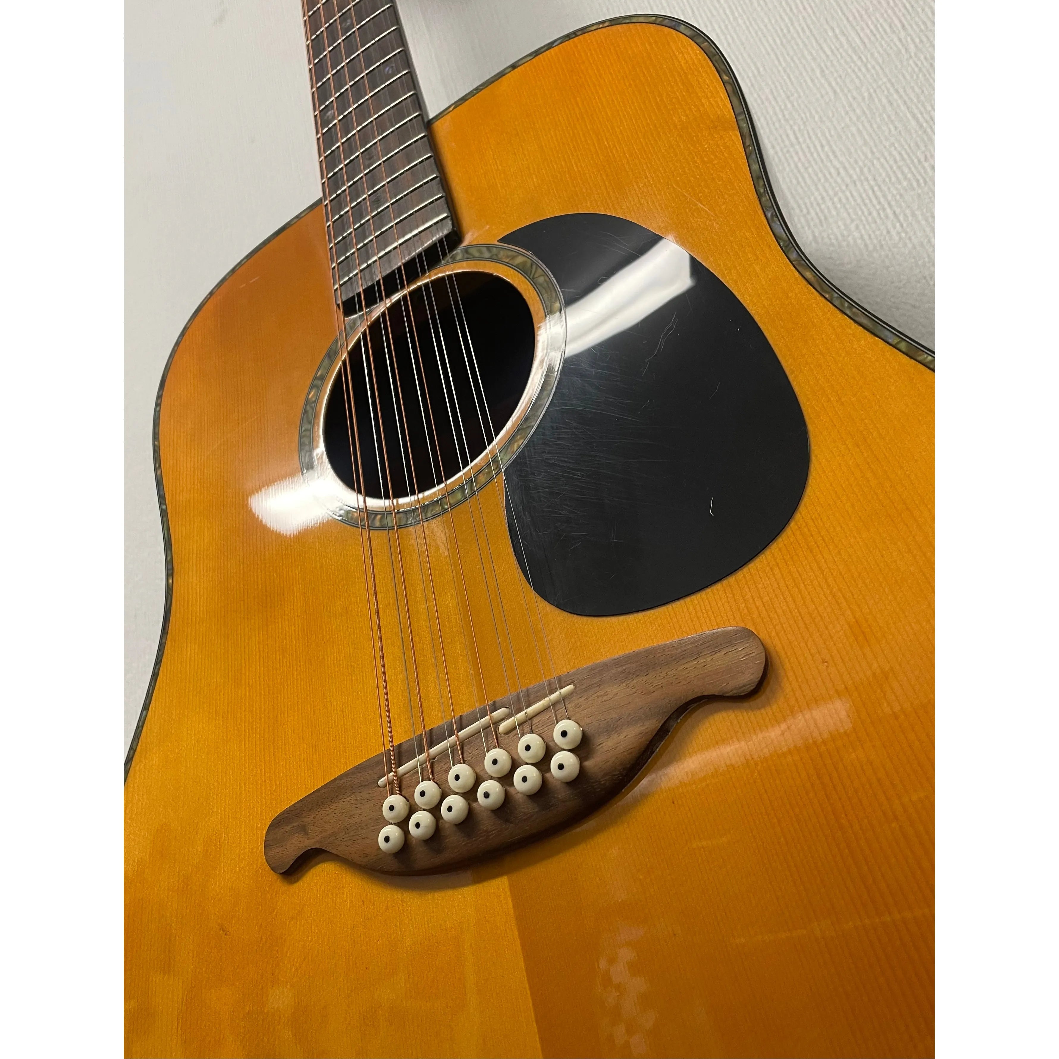 SX by Freshman 12 String Acoustic SX100/12 in Natural with Case Pre-Owned