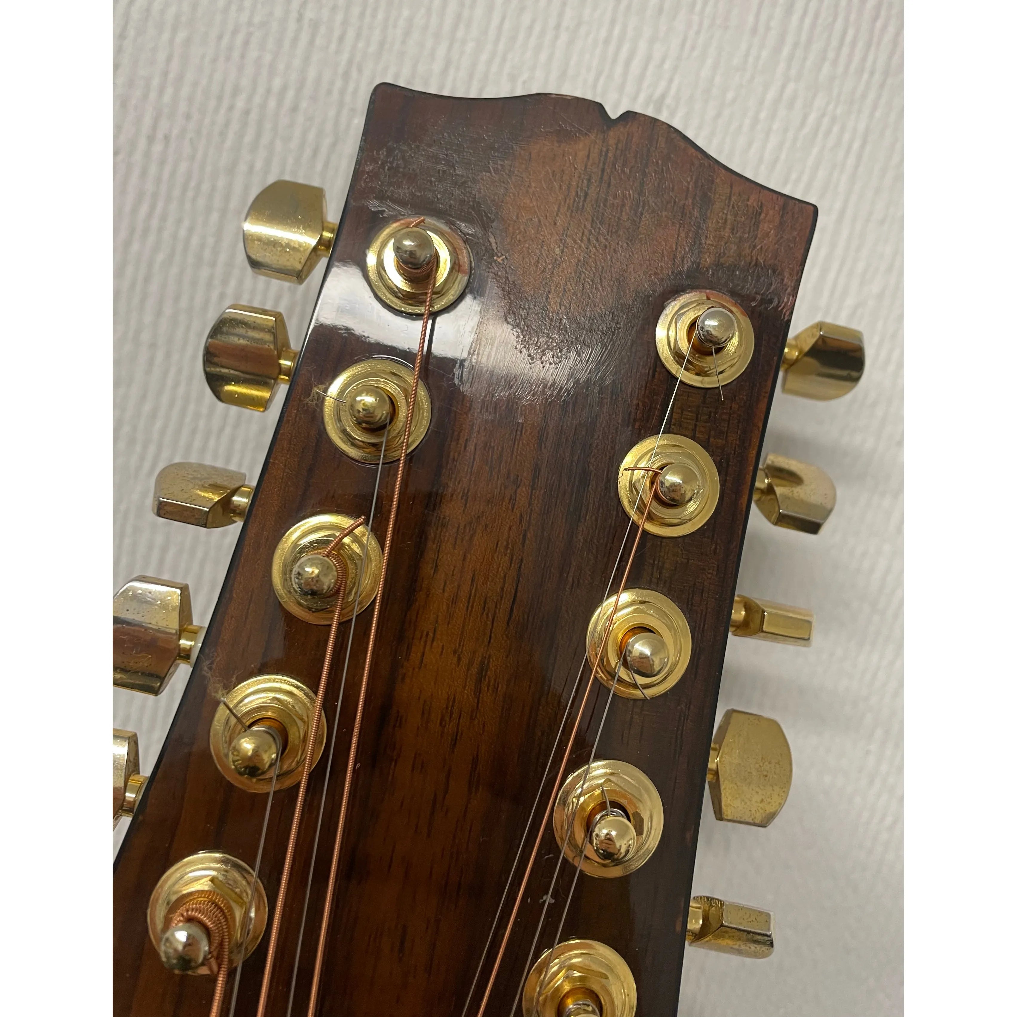 SX by Freshman 12 String Acoustic SX100/12 in Natural with Case Pre-Owned