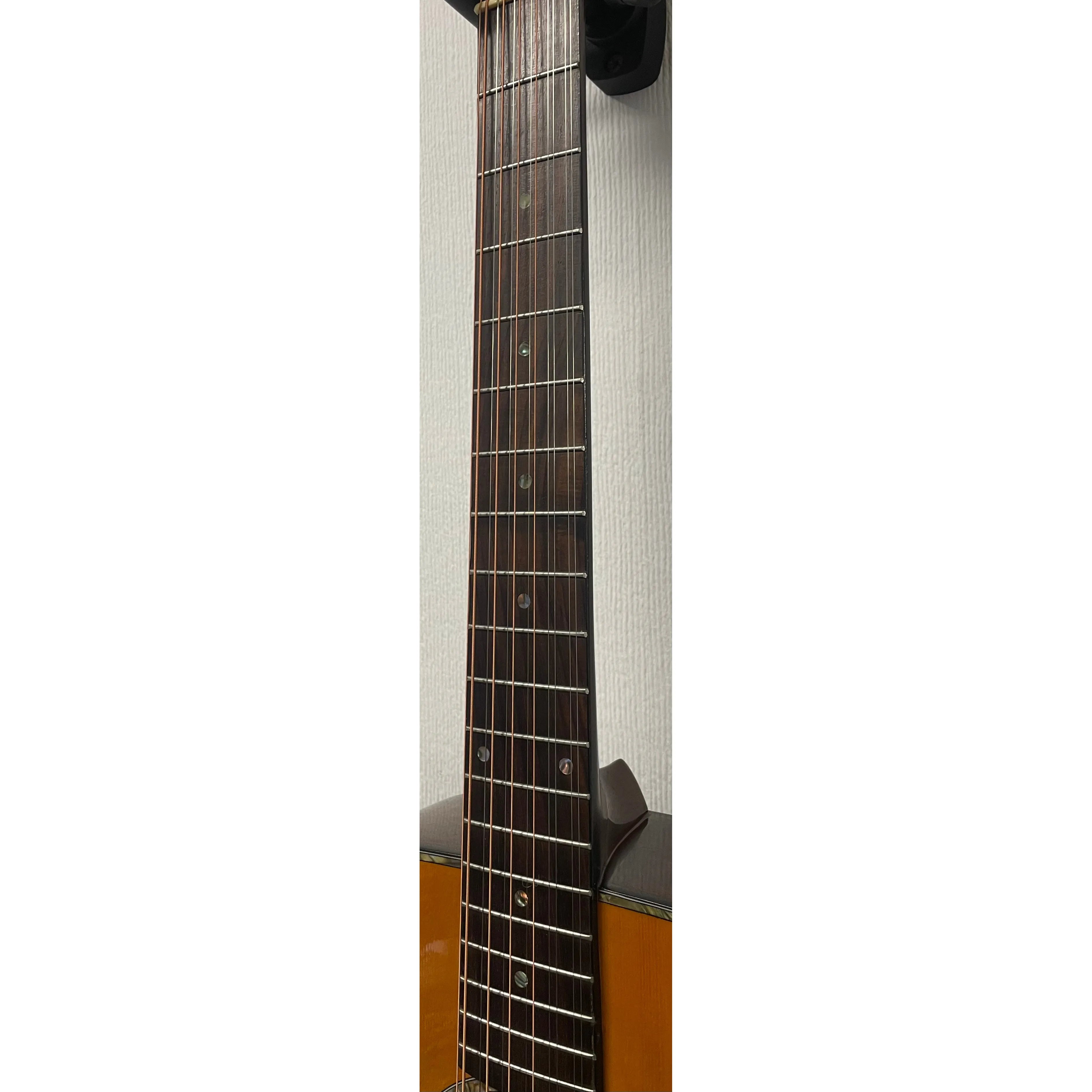 SX by Freshman 12 String Acoustic SX100/12 in Natural with Case Pre-Owned