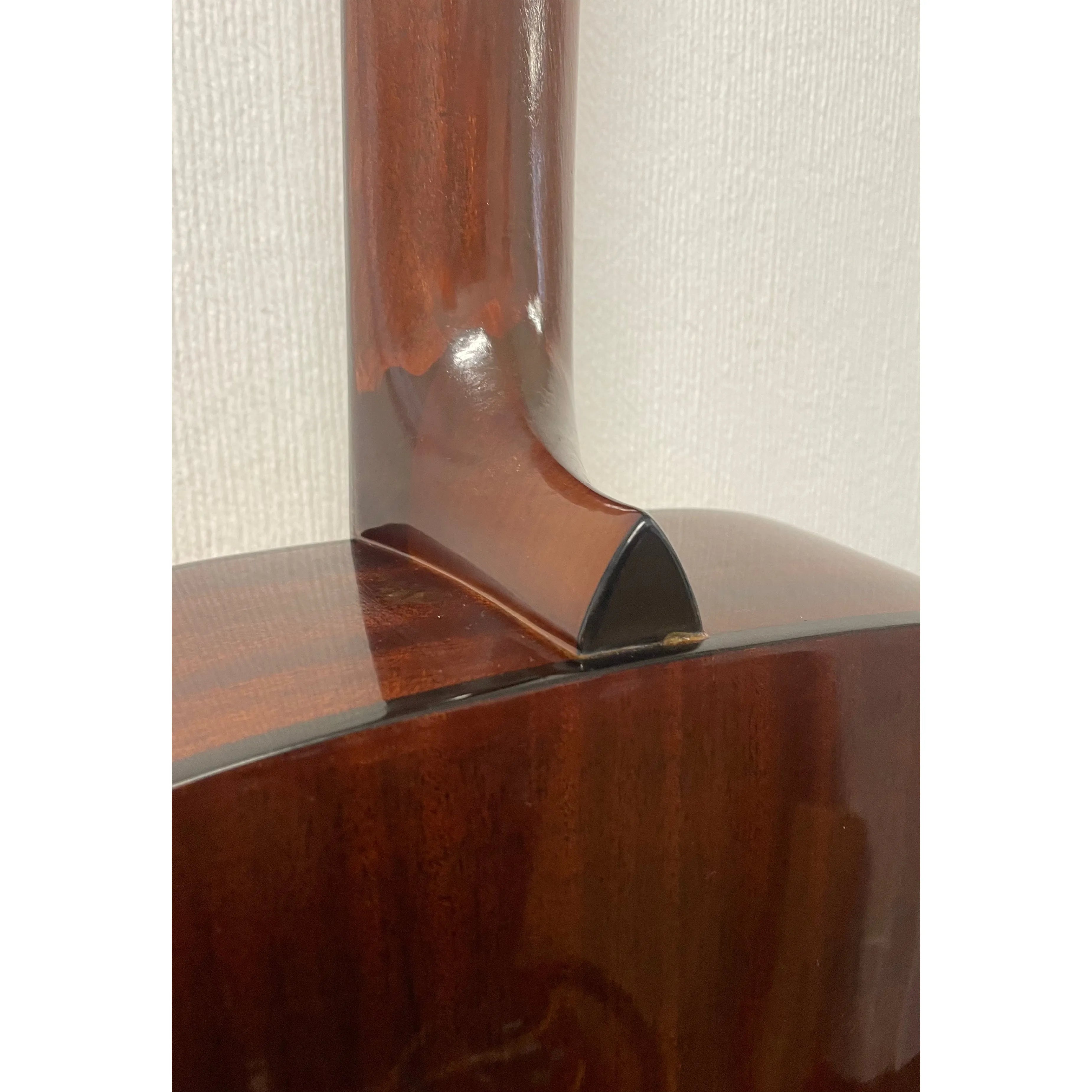 SX by Freshman 12 String Acoustic SX100/12 in Natural with Case Pre-Owned