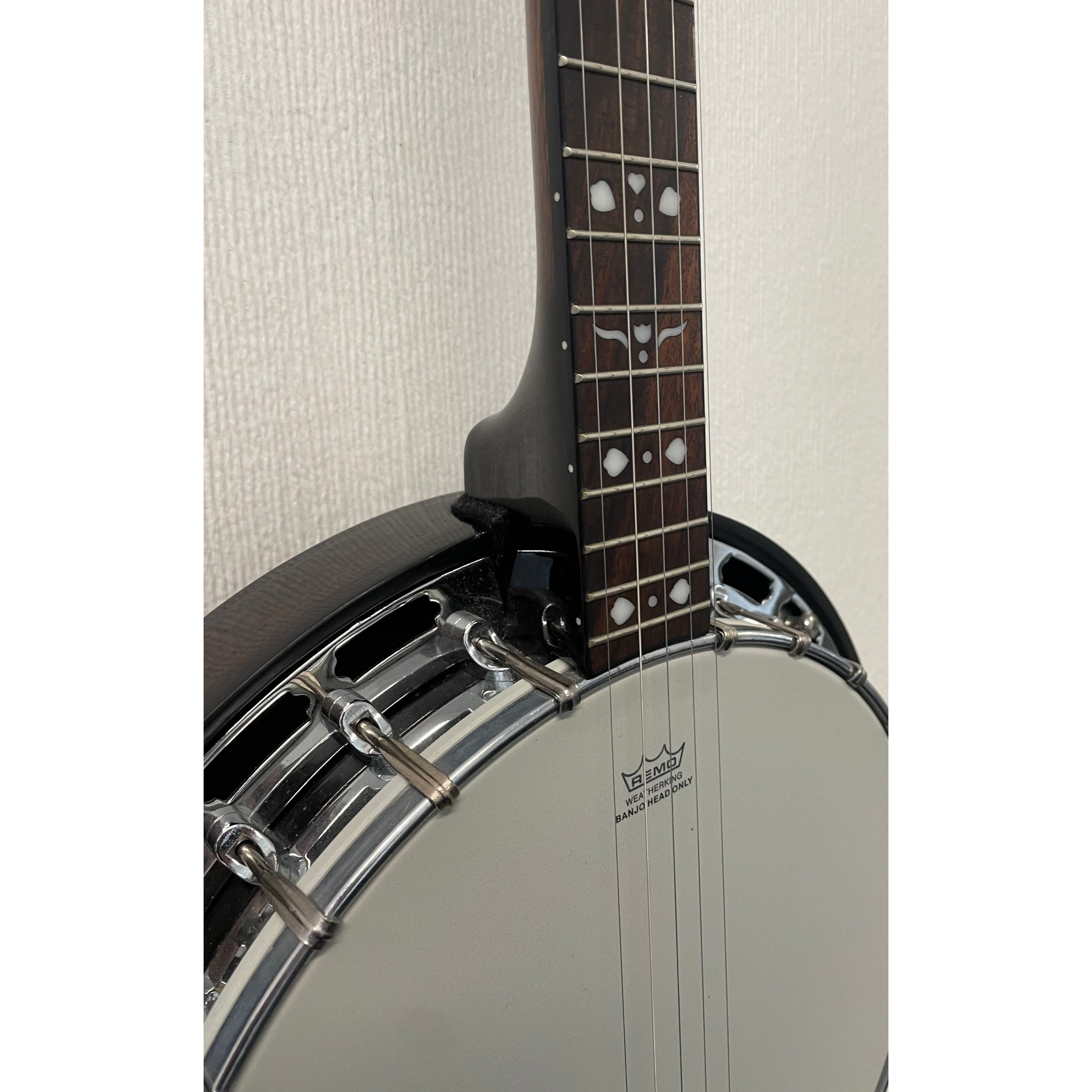Tanglewood 5 String Union Series TB24 Select-5 Closed Back Banjo Pre-Owned