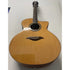 Turner Jumbo 55CE Electro Acoustic Guitar