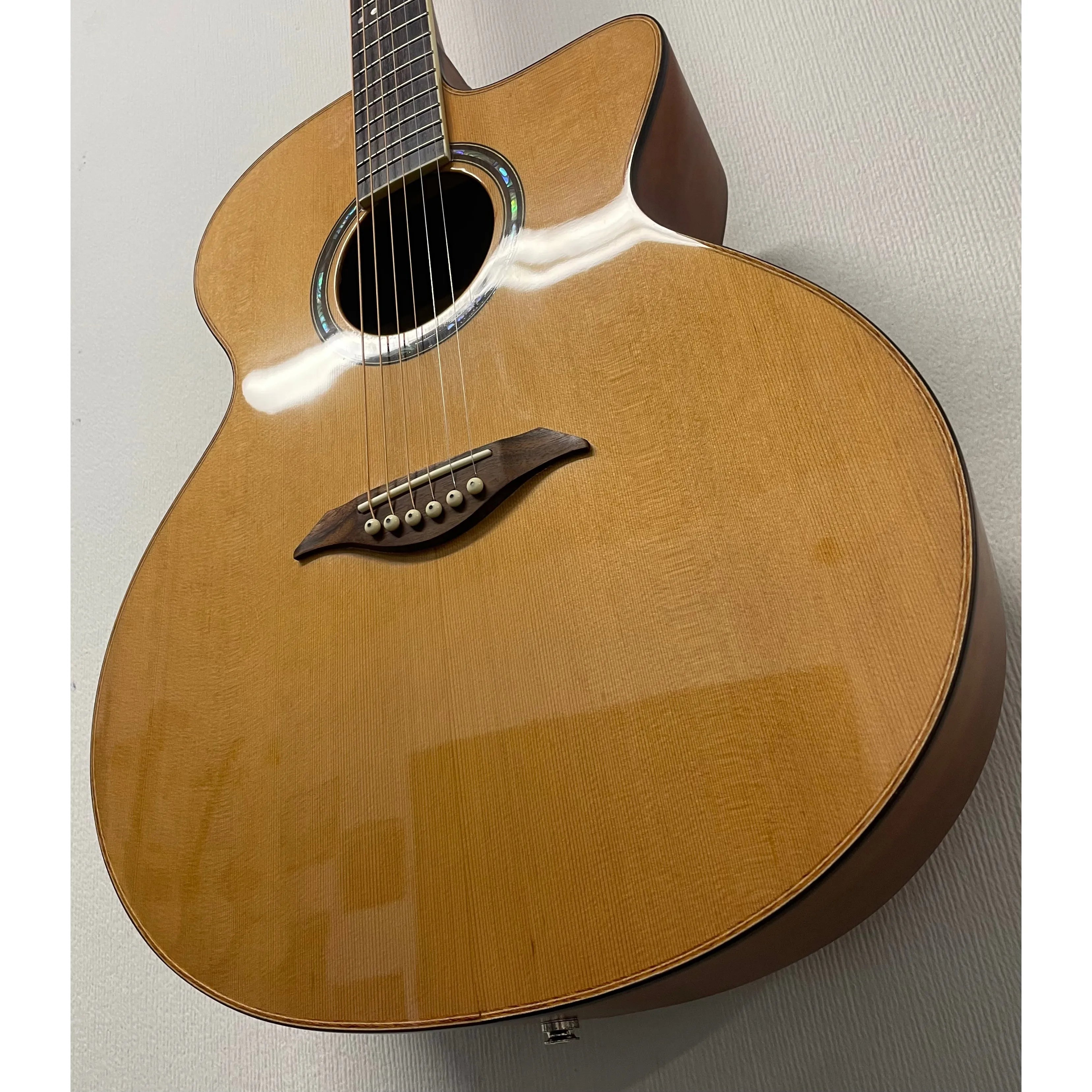 Turner Jumbo 55CE Electro Acoustic Guitar