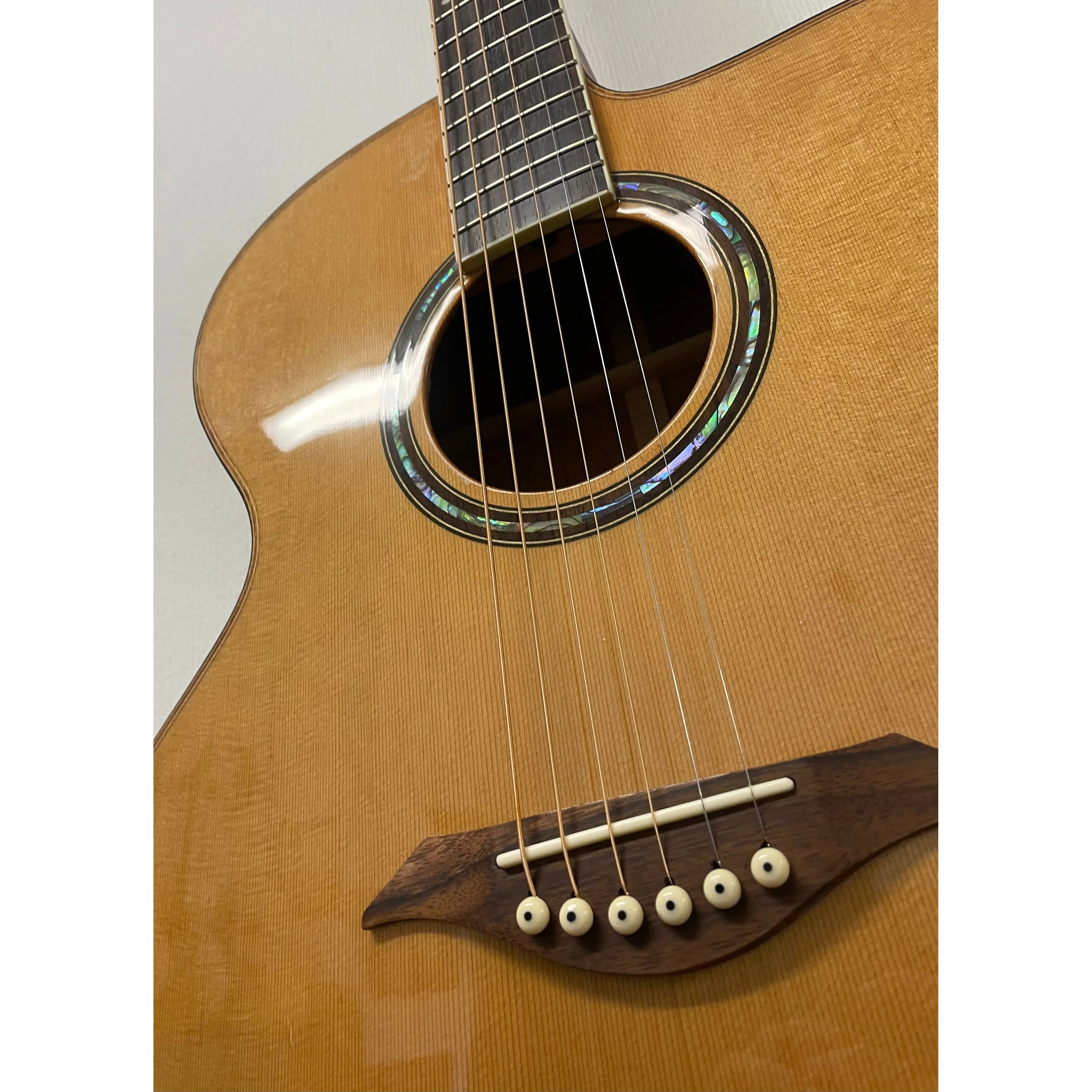 Turner Jumbo 55CE Electro Acoustic Guitar