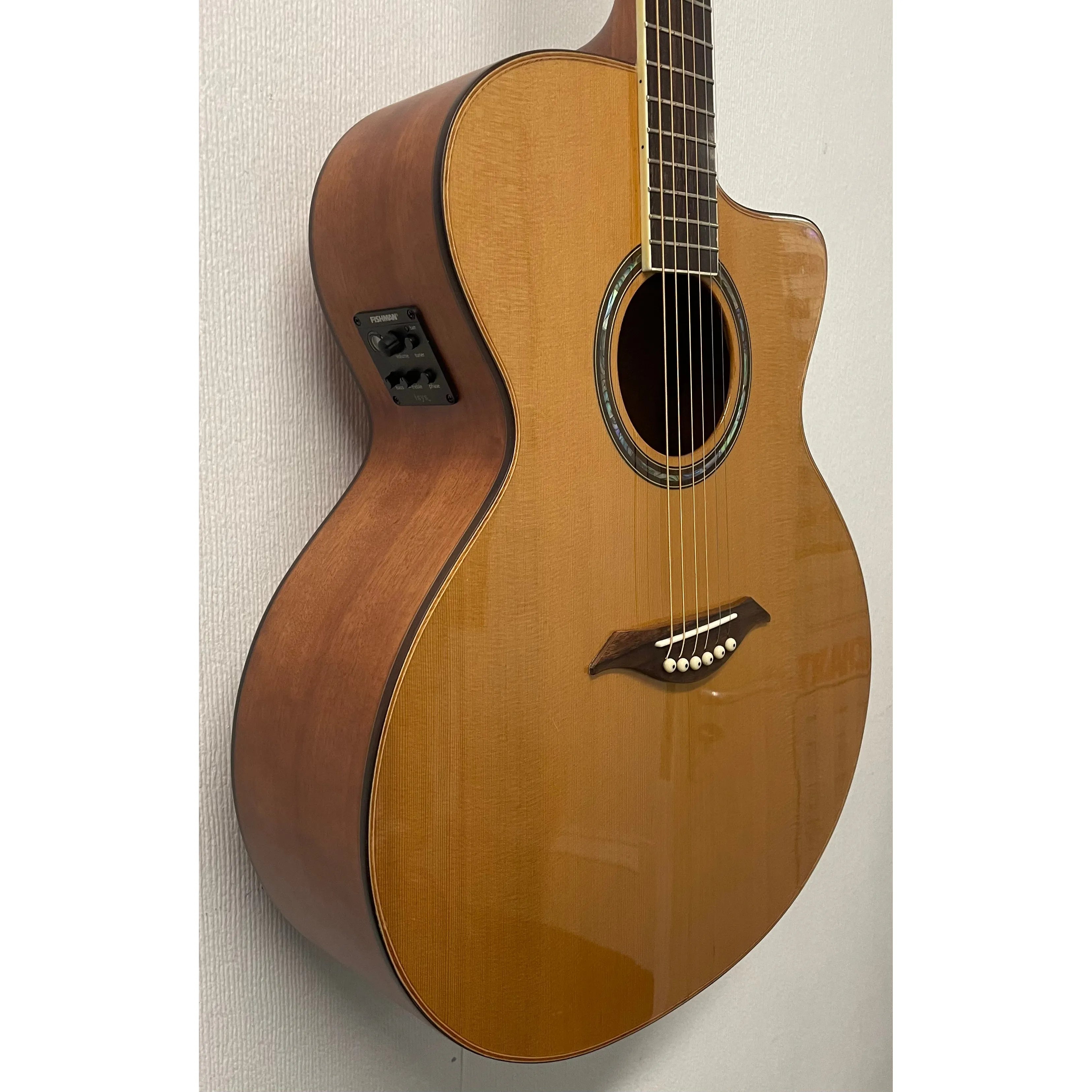 Turner Jumbo 55CE Electro Acoustic Guitar