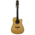 Turner Dreadnought 80CE Electro Acoustic Guitar