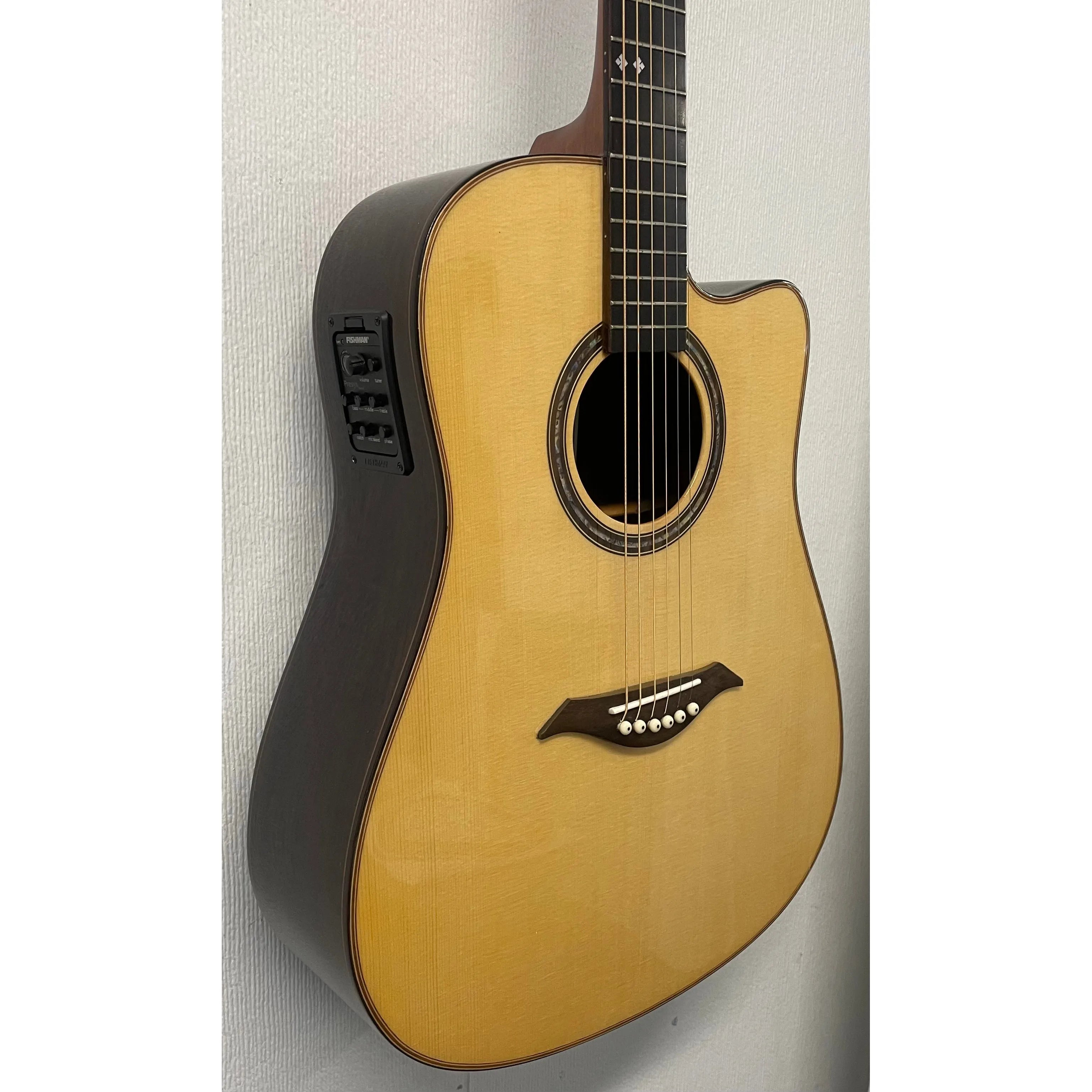 Turner Dreadnought 80CE Electro Acoustic Guitar