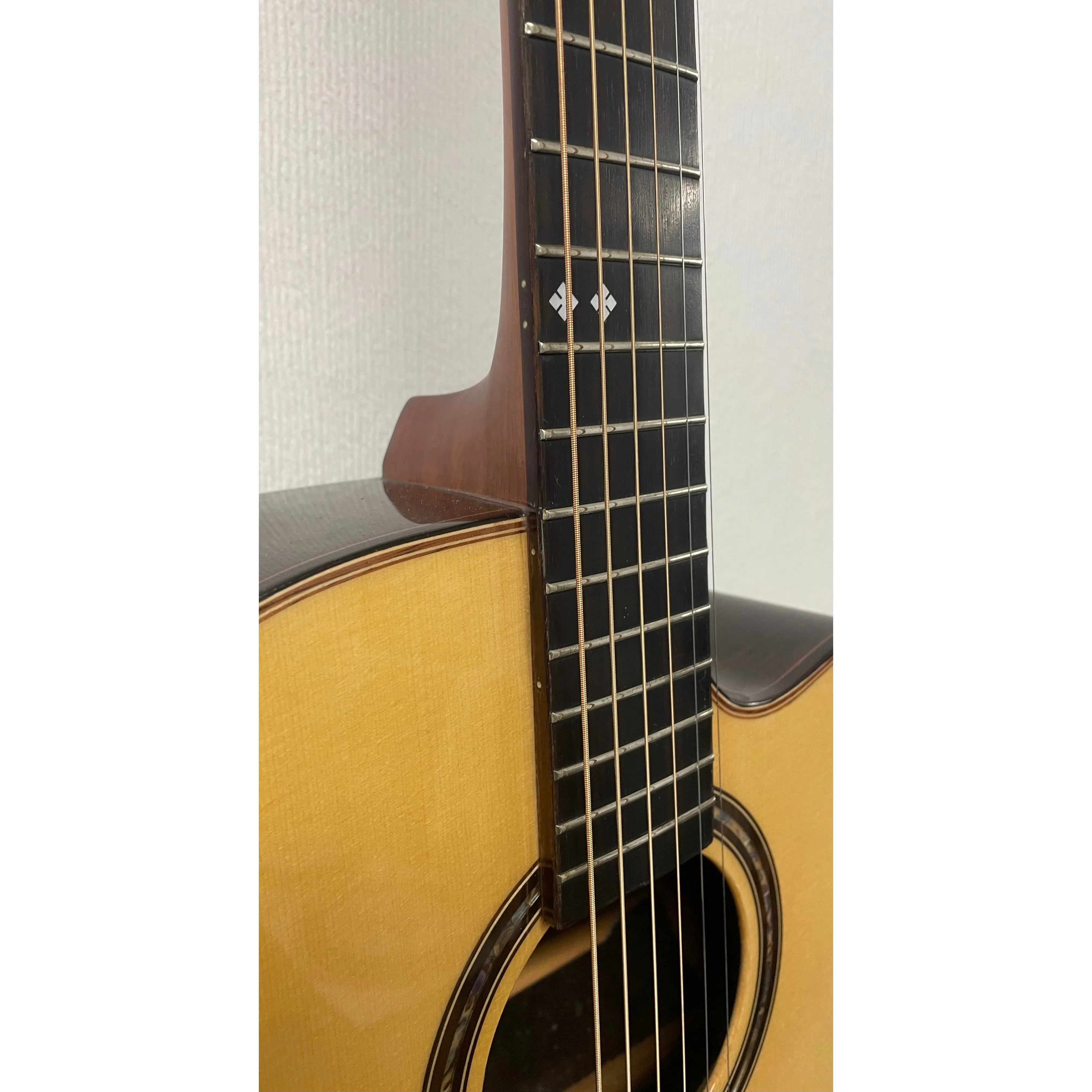 Turner Dreadnought 80CE Electro Acoustic Guitar