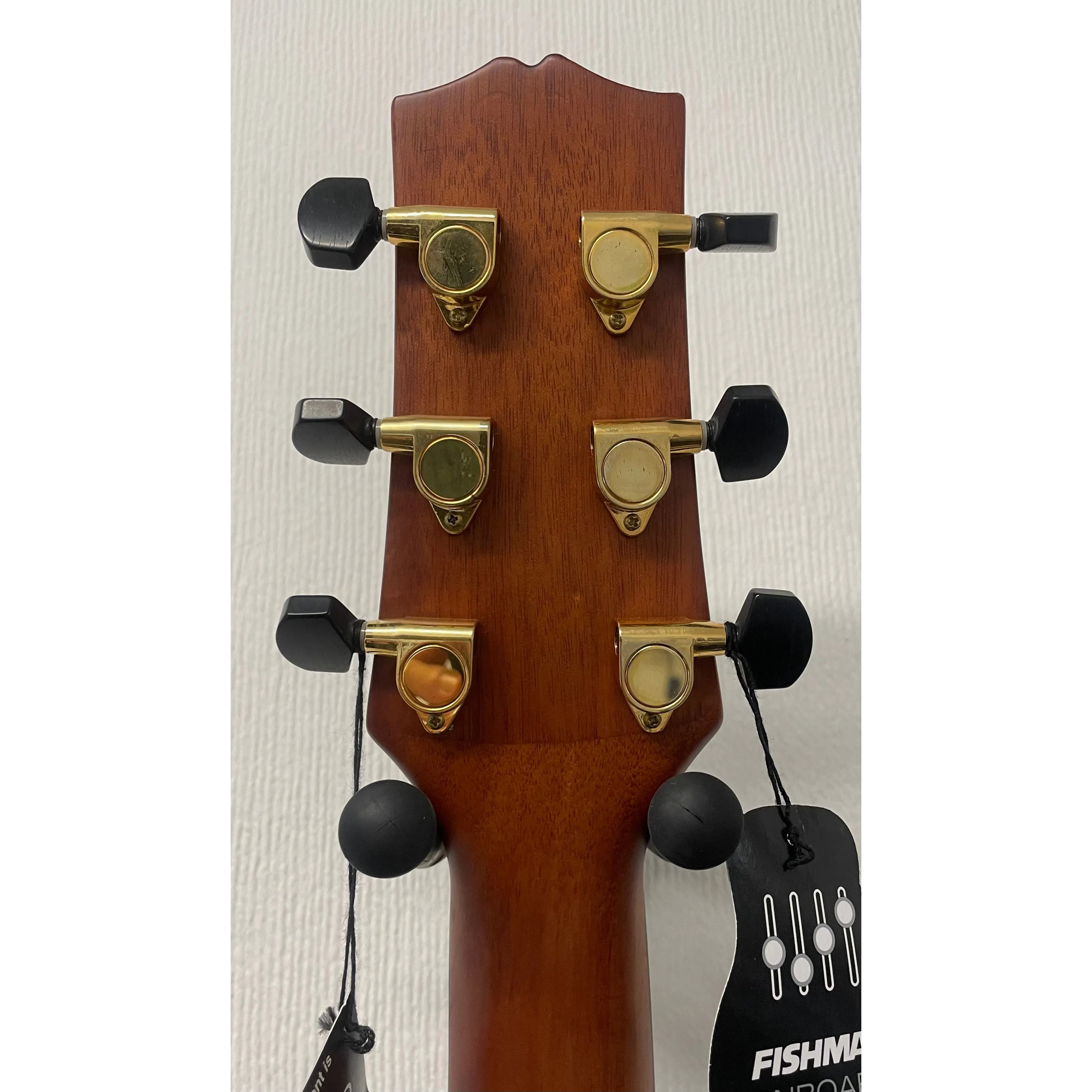 Turner Dreadnought 80CE Electro Acoustic Guitar