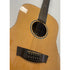 Faith HiGloss Series Saturn 12 String Electro Acoustic with Hardcase Pre-Owned