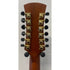 Faith HiGloss Series Saturn 12 String Electro Acoustic with Hardcase Pre-Owned