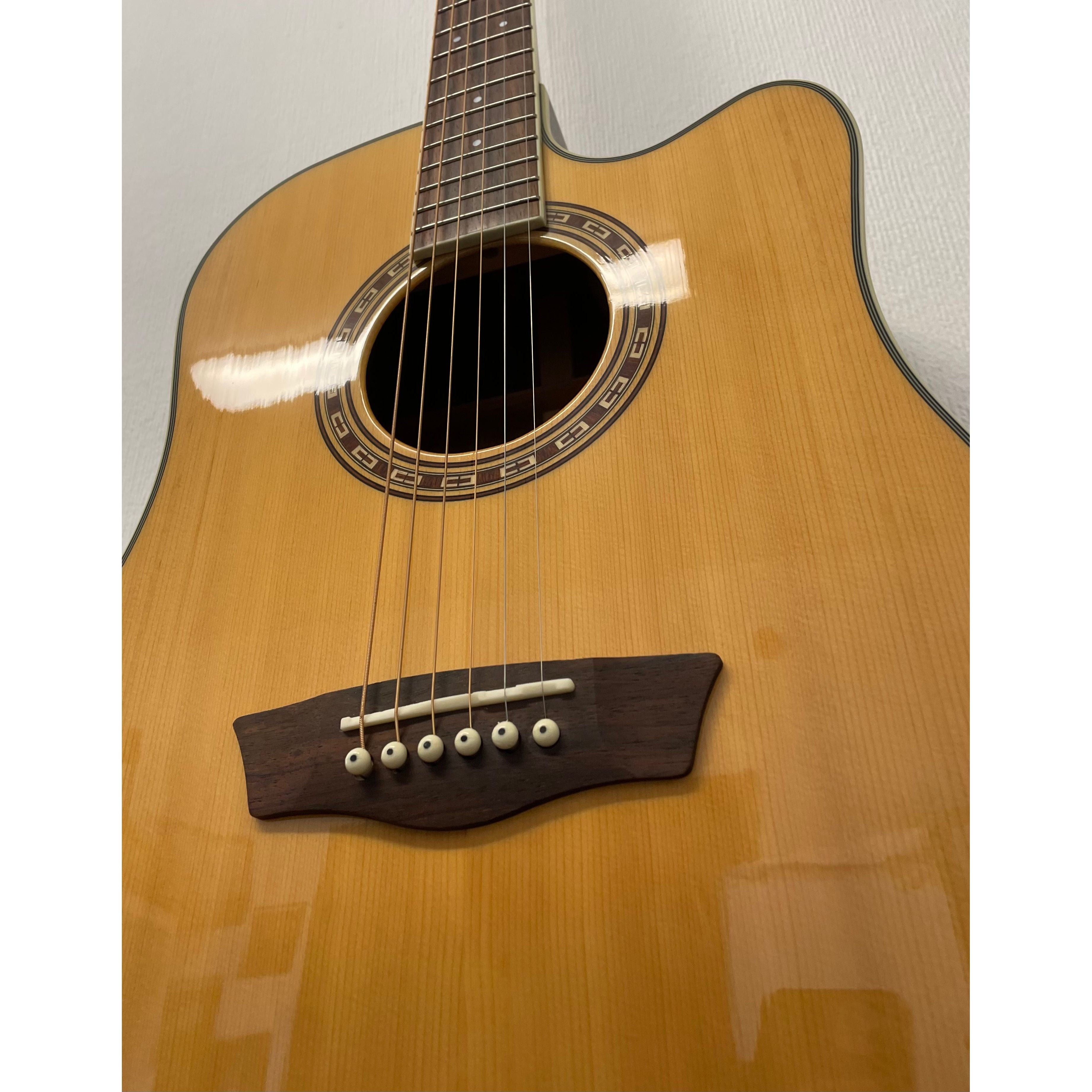 Washburn WD10 SCE WAT Electro Acoustic Guitar with Hiscox Hardcase Pre-Owned