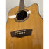 Washburn WD10 SCE WAT Electro Acoustic Guitar with Hiscox Hardcase Pre-Owned