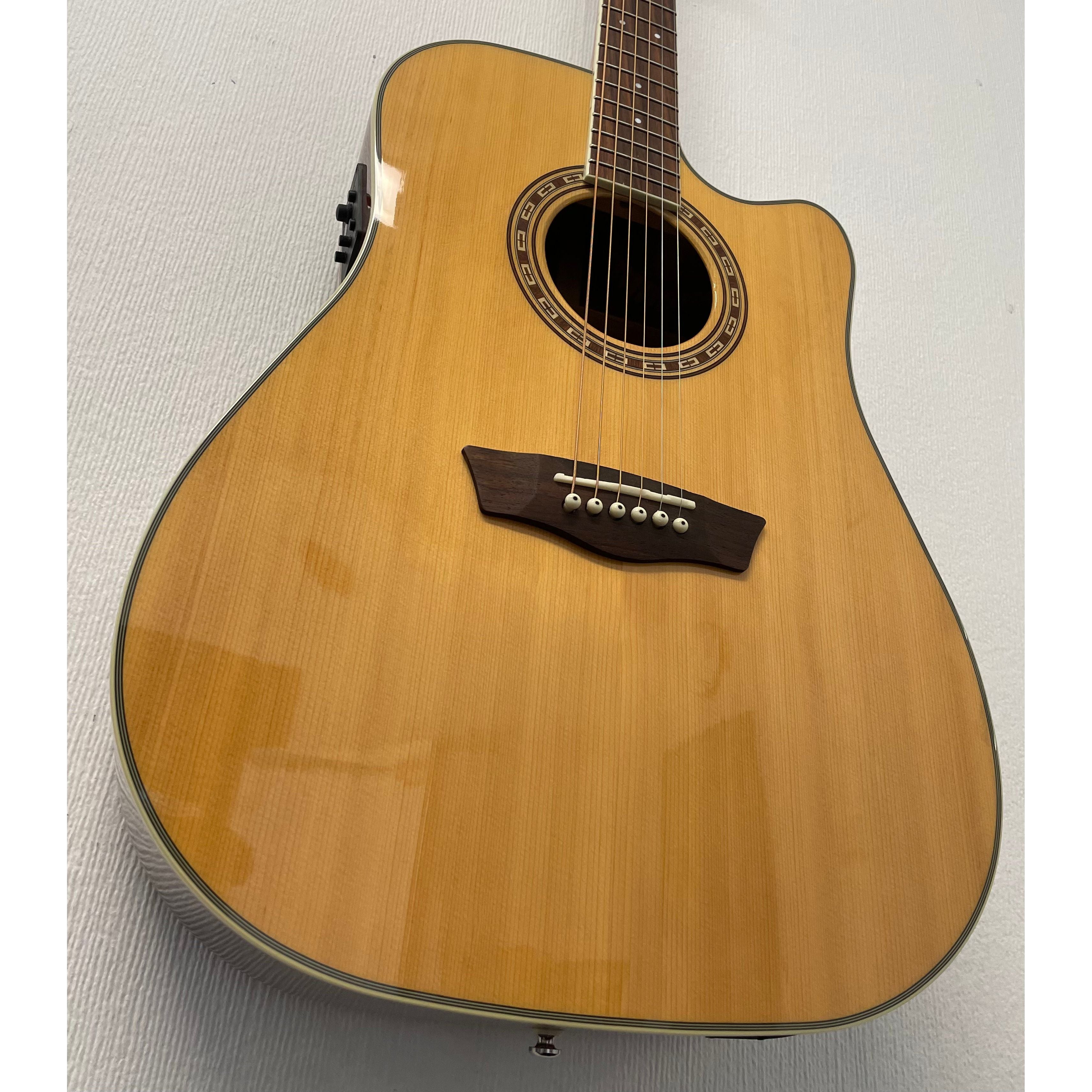 Washburn WD10 SCE WAT Electro Acoustic Guitar with Hiscox Hardcase Pre-Owned