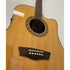 Washburn WD10 SCE WAT Electro Acoustic Guitar with Hiscox Hardcase Pre-Owned