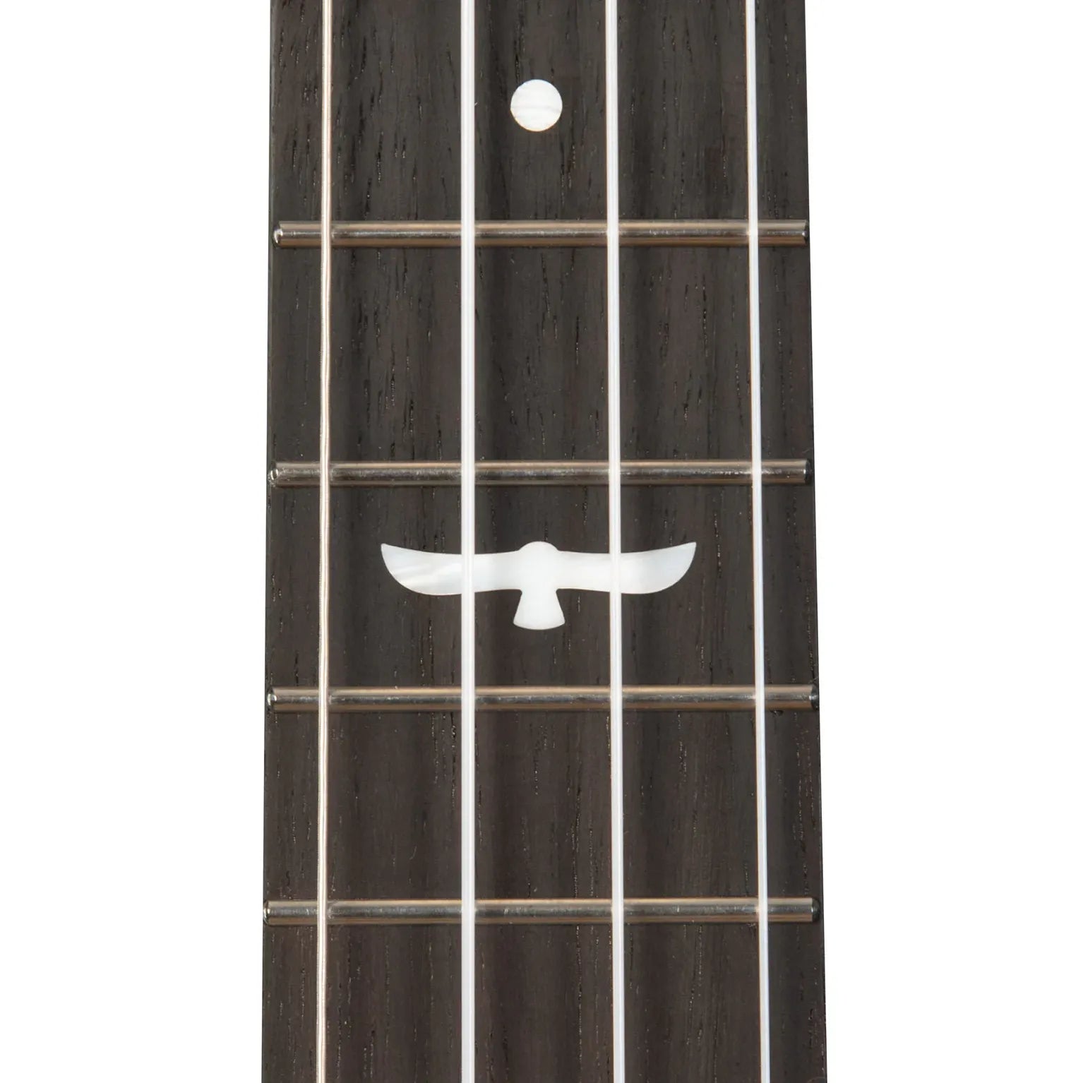 Kala Revelator Night Owl Mango Tenor with Gig Bag