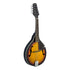 Stagg Bluegrass Mandolin M20  in Sunburst