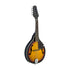 Stagg Bluegrass Mandolin M20  in Sunburst